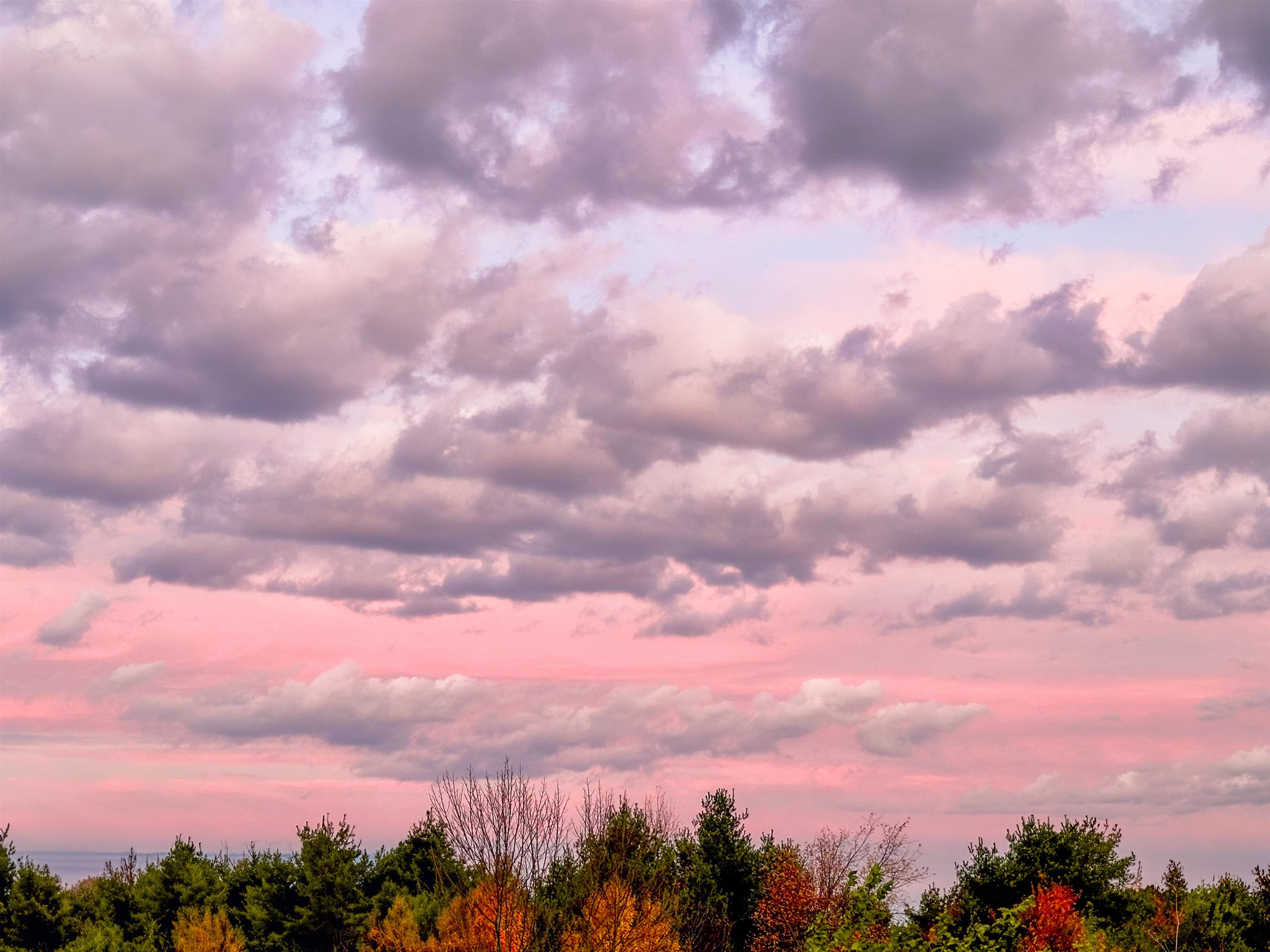 166 Horseshoe Circle Property Photo 43