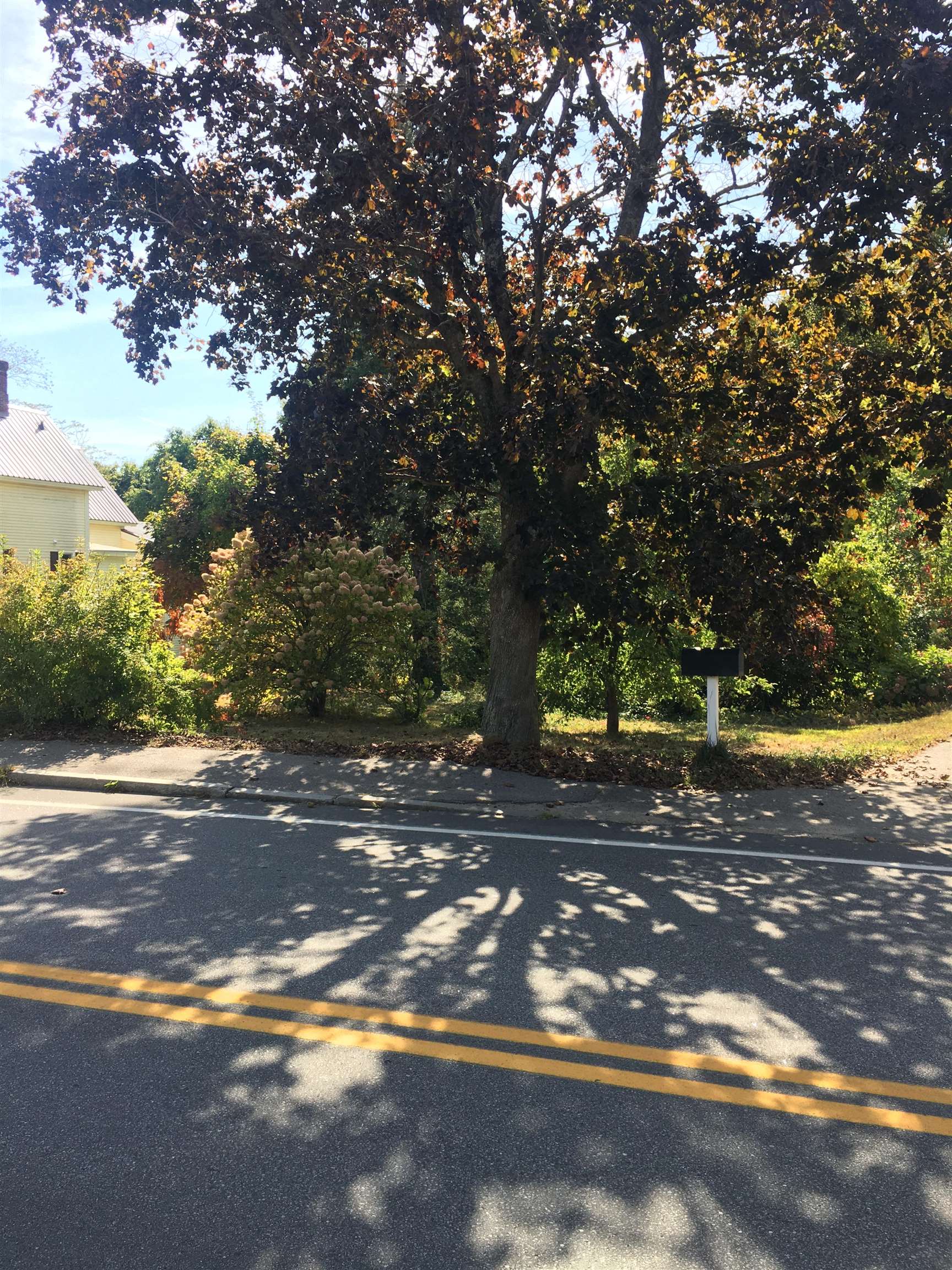 436 Elm Street Property Photo 4