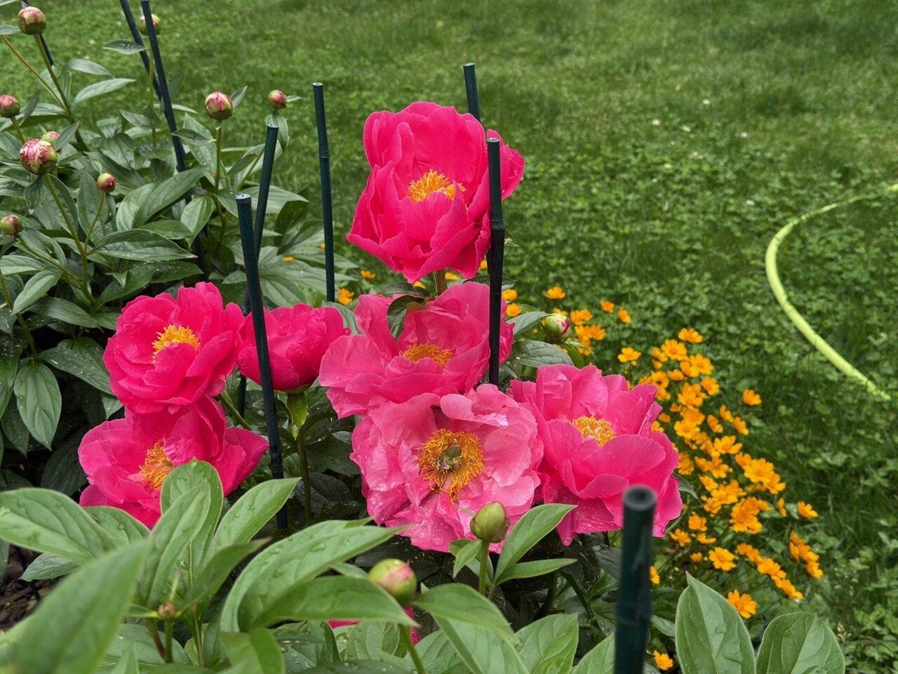 17 Westward Drive Property Photo 40