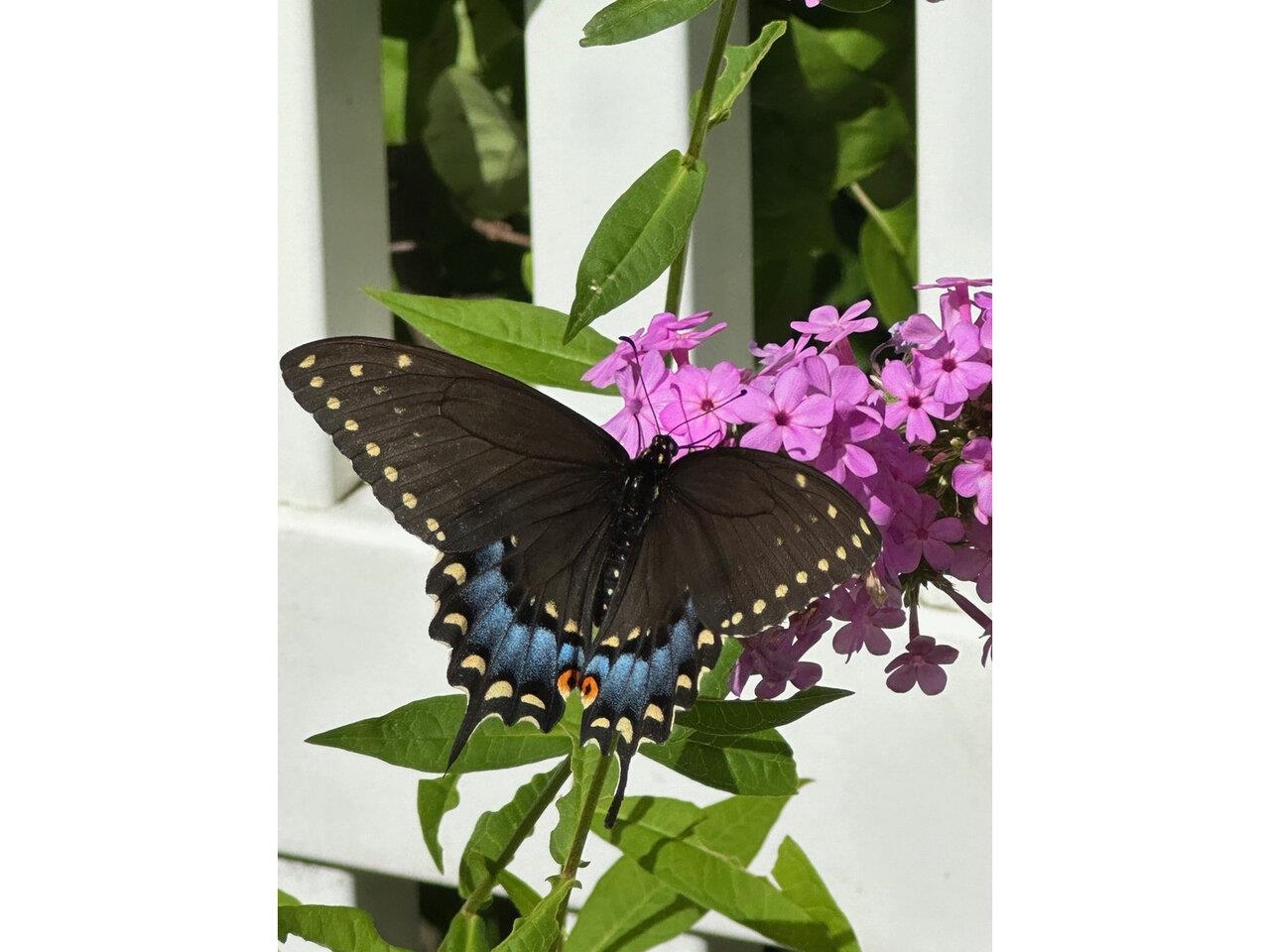 17 Westward Drive Property Photo 41