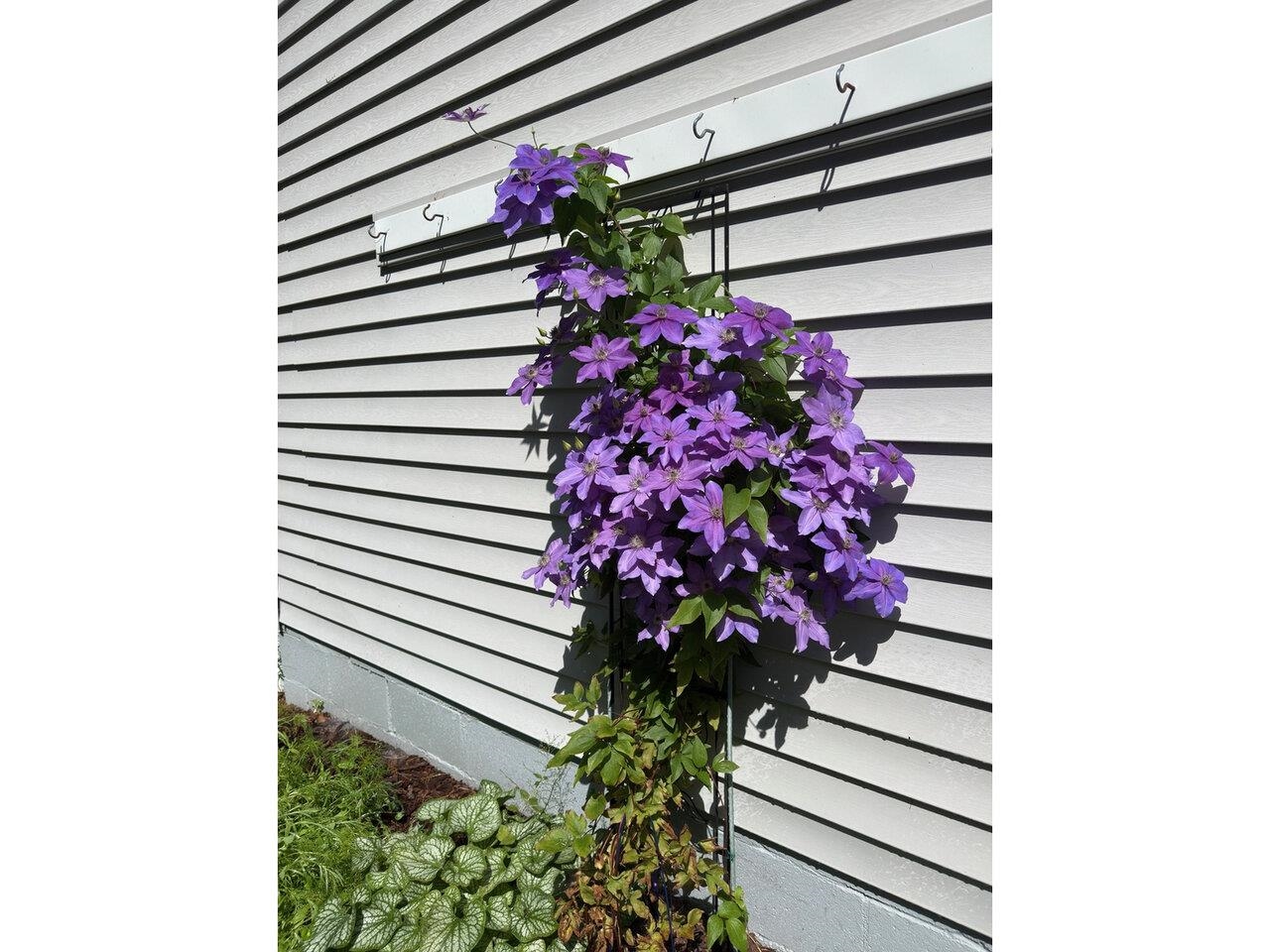 17 Westward Drive Property Photo 42