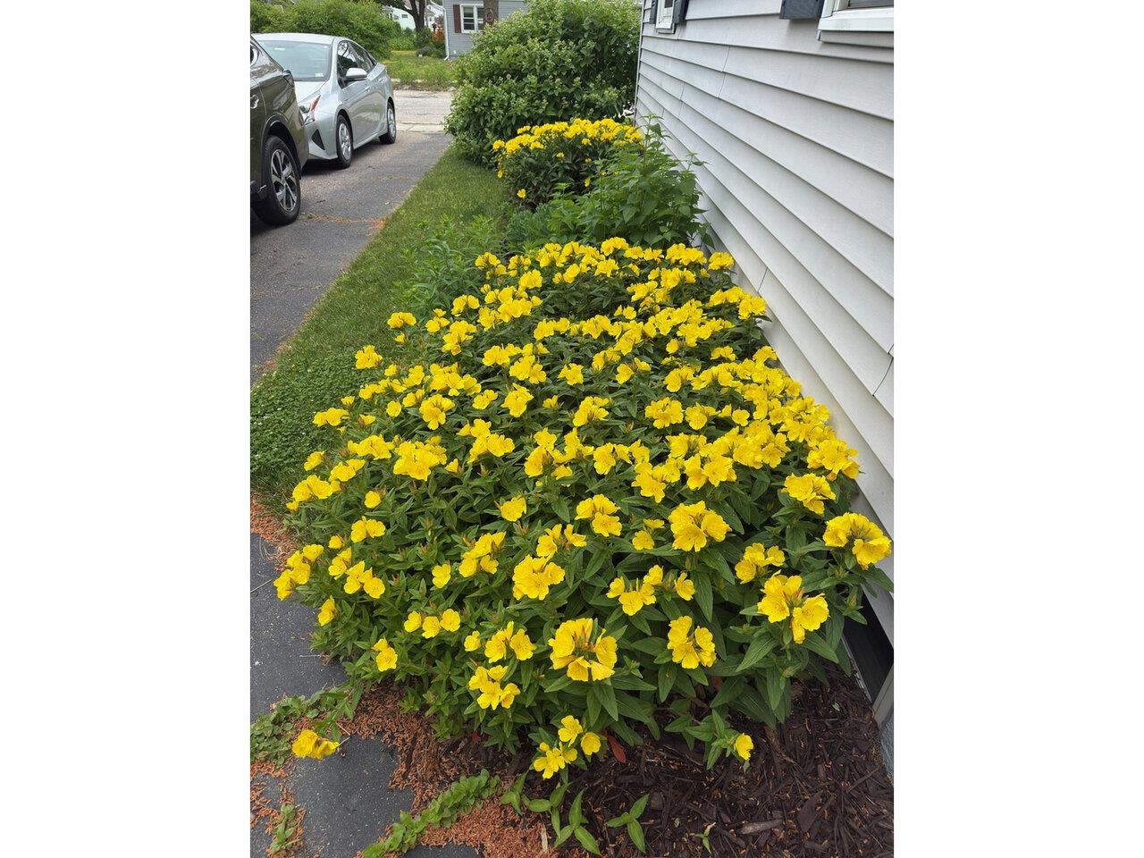 17 Westward Drive Property Photo 43