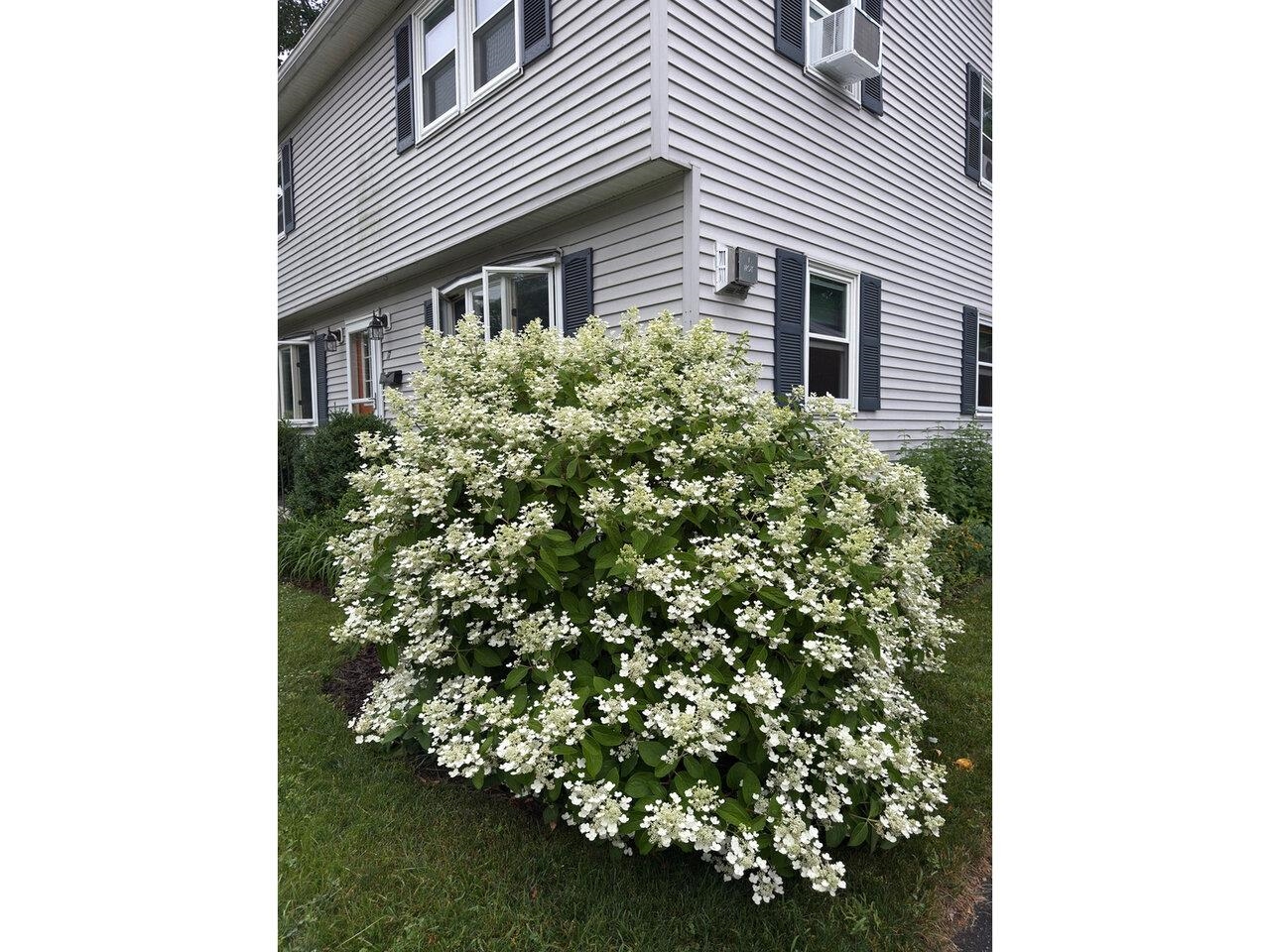 17 Westward Drive Property Photo 44