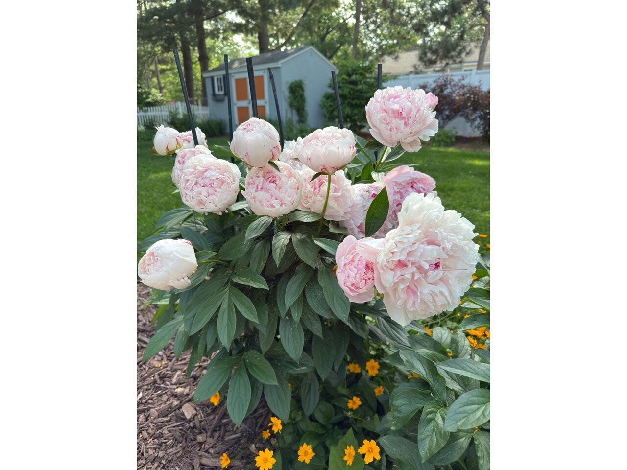 17 Westward Drive Property Photo 46