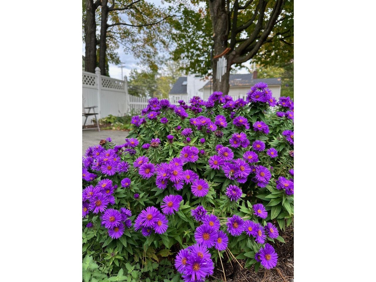 17 Westward Drive Property Photo 47