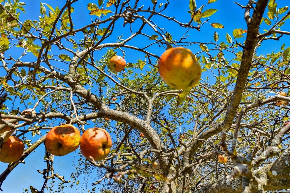 184 Sinclair Road Property Photo 49