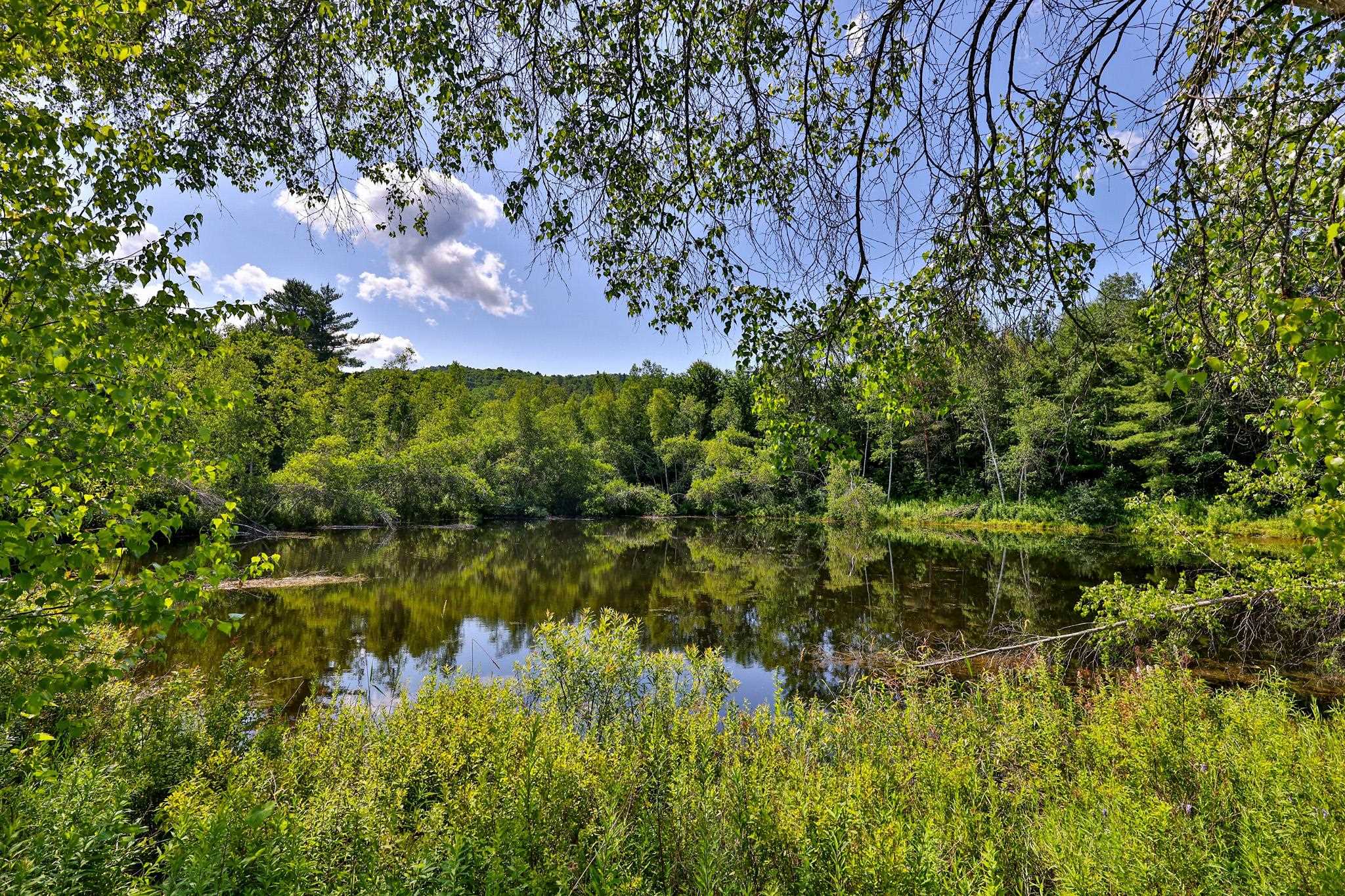 2140 Brandon Mountain Road Property Photo 34