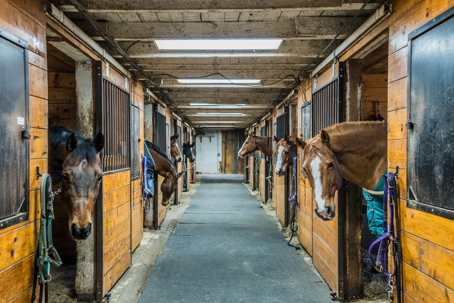 960 East Pittsford Road Property Photo 9