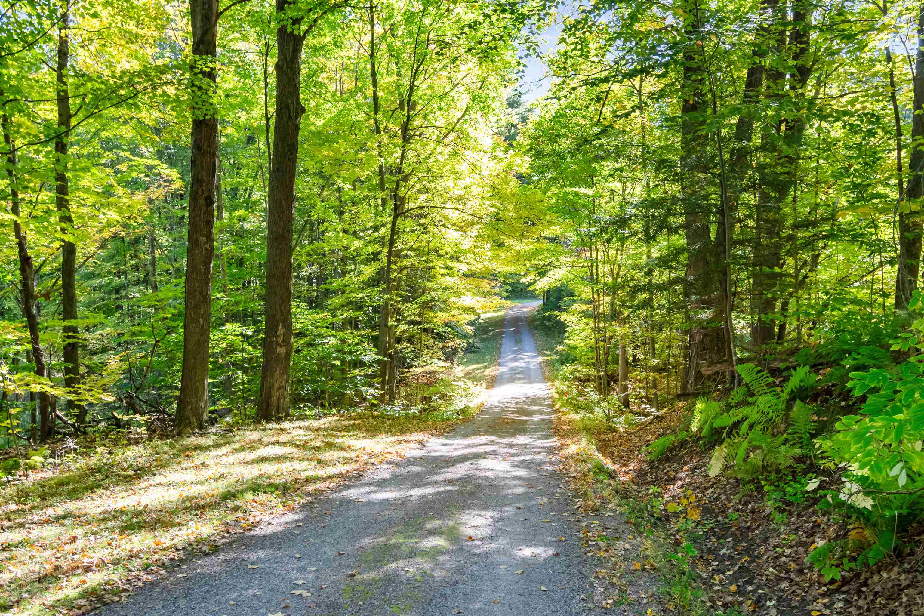 446 Sanderson Road Property Photo 40