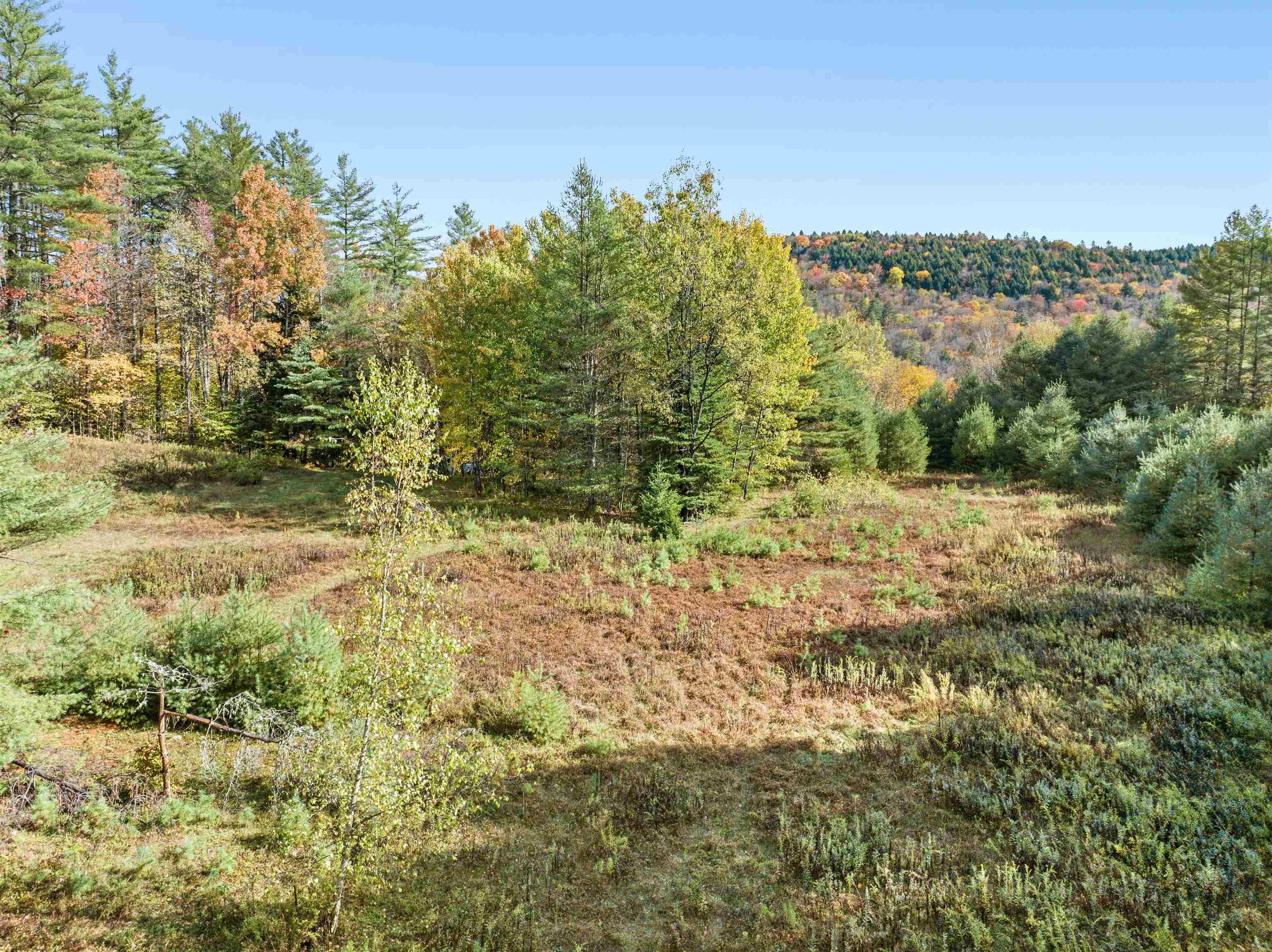 0 Veo Road Property Photo 6