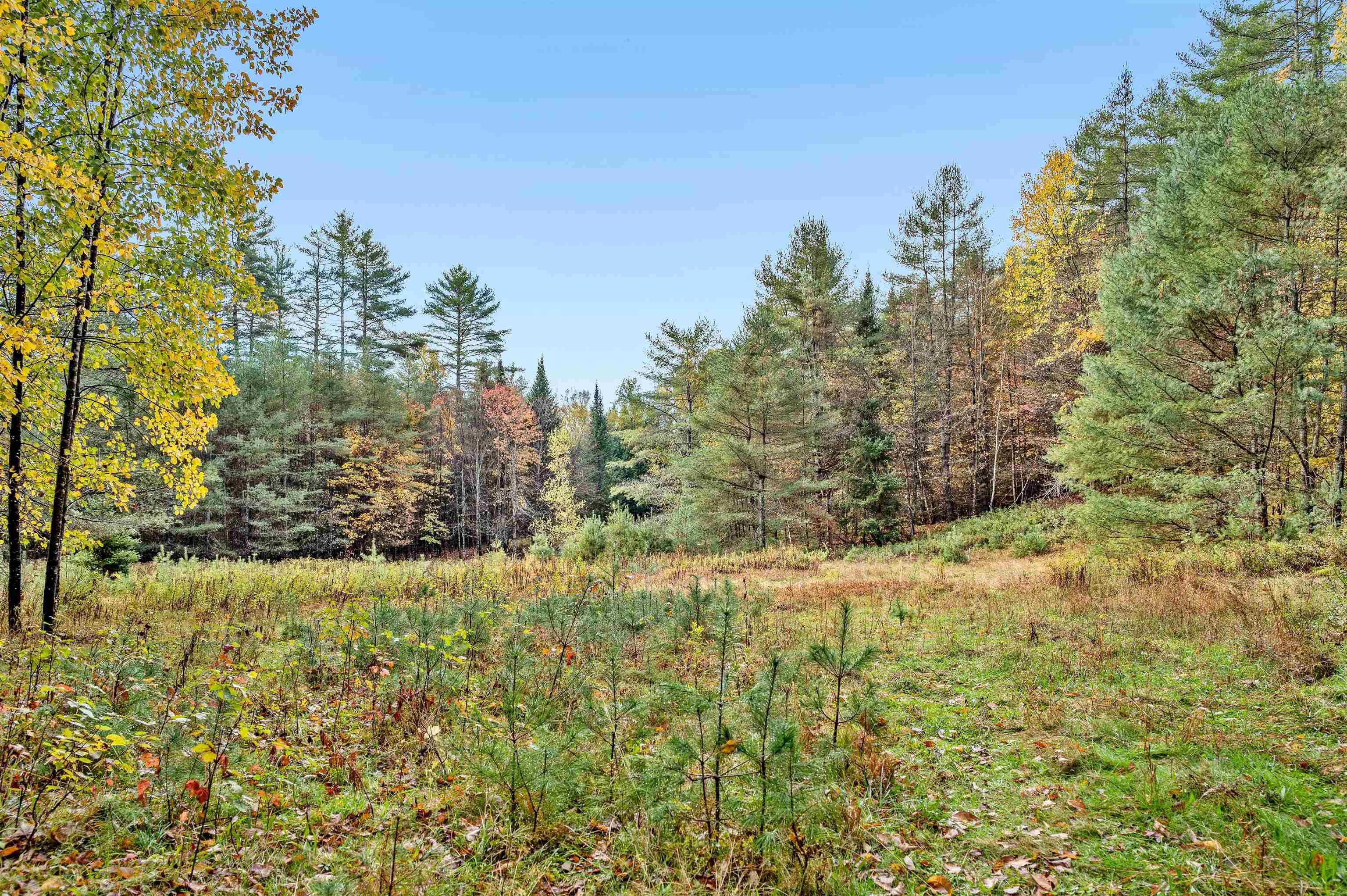 0 Veo Road Property Photo 4