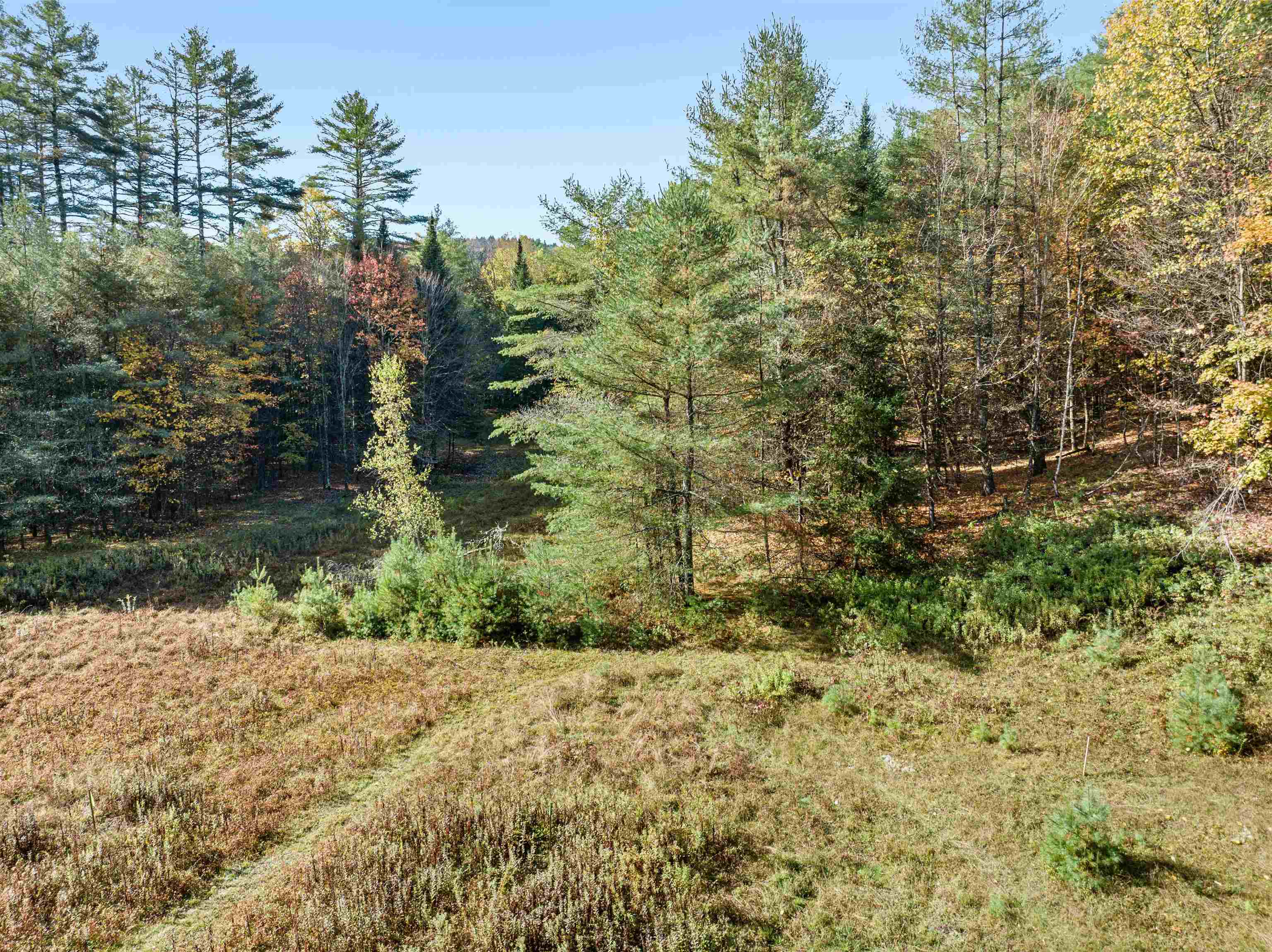 0 Veo Road Property Photo 7