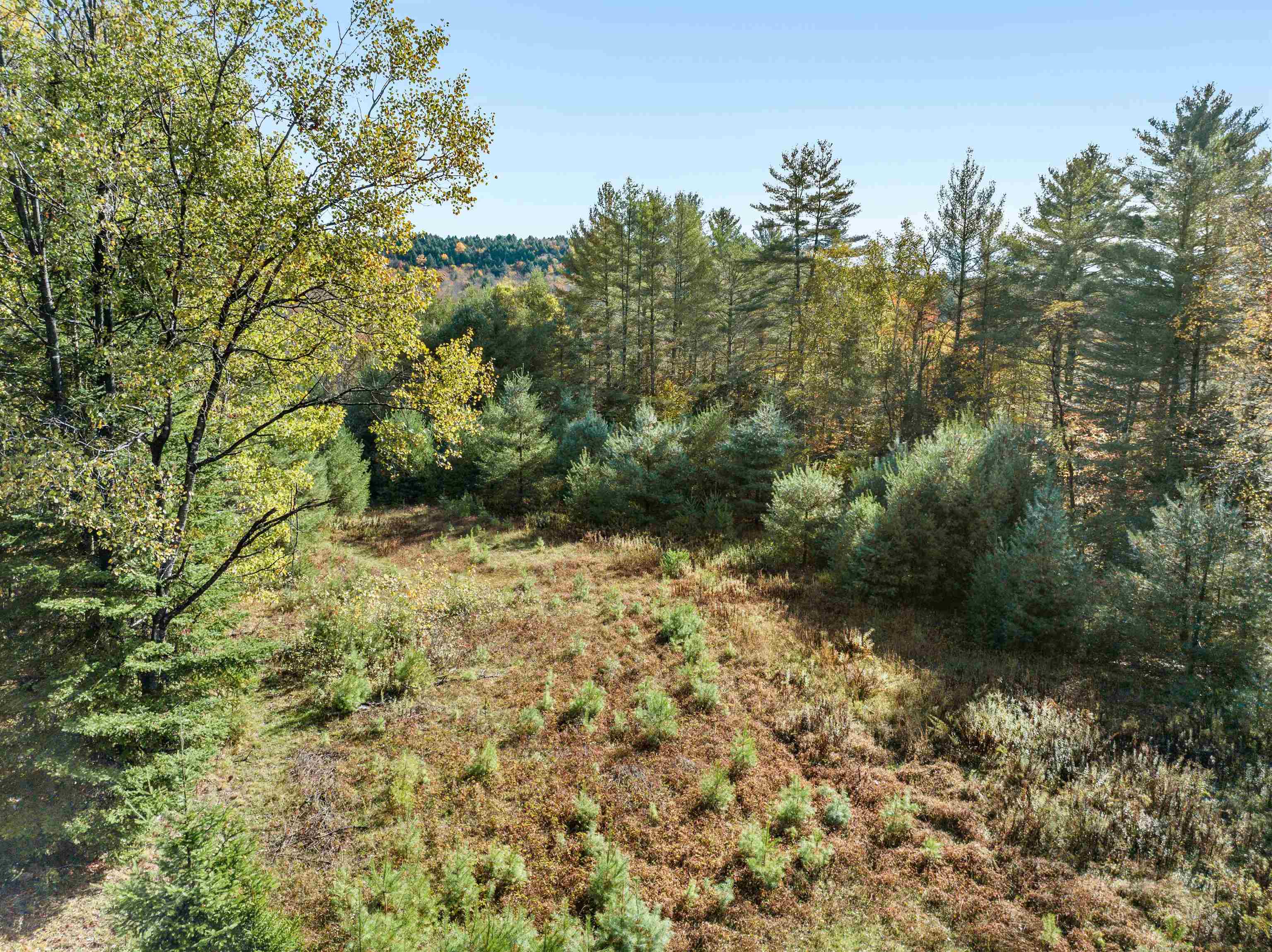 0 Veo Road Property Photo 8