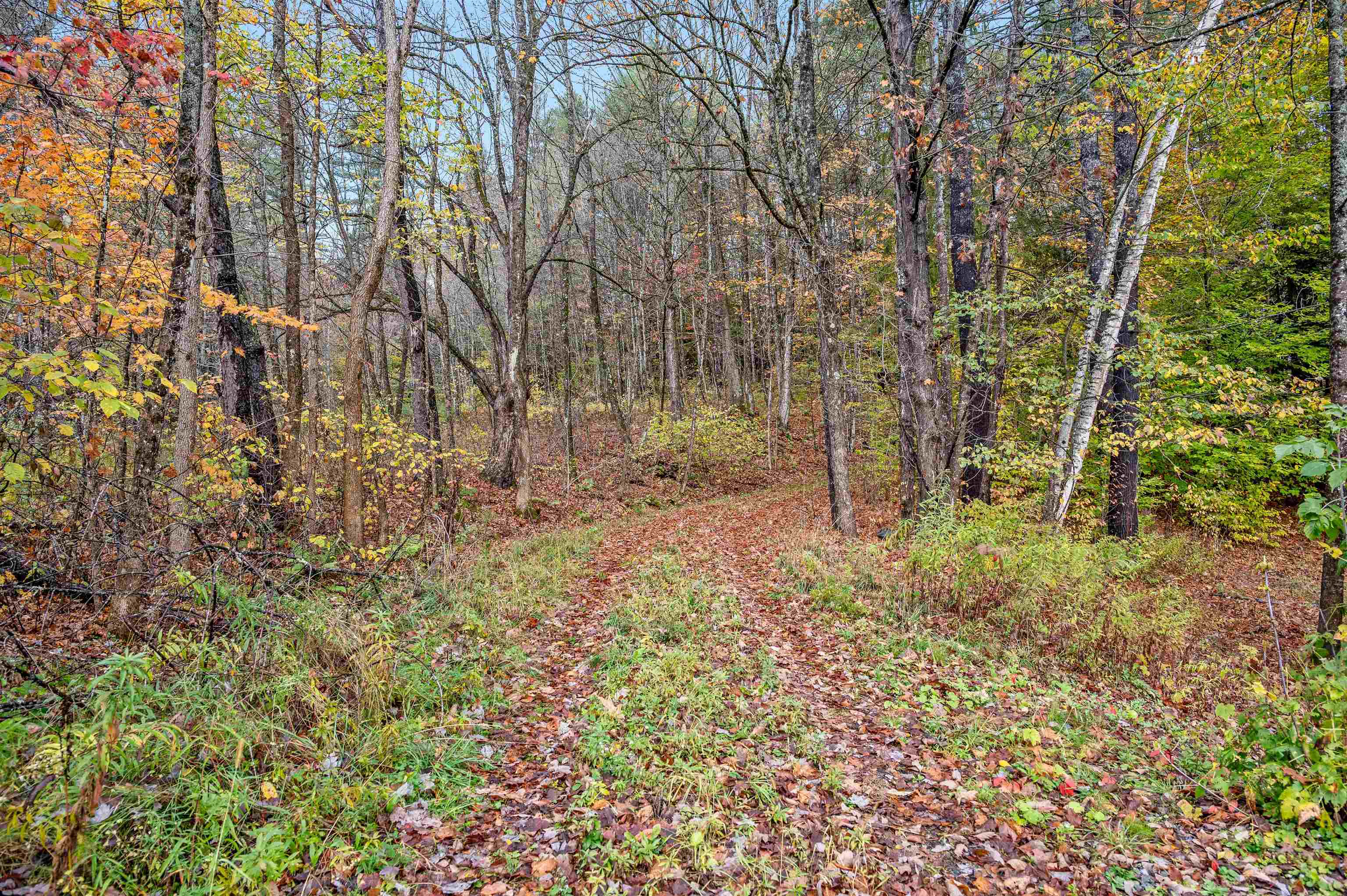 0 Veo Road Property Photo 22