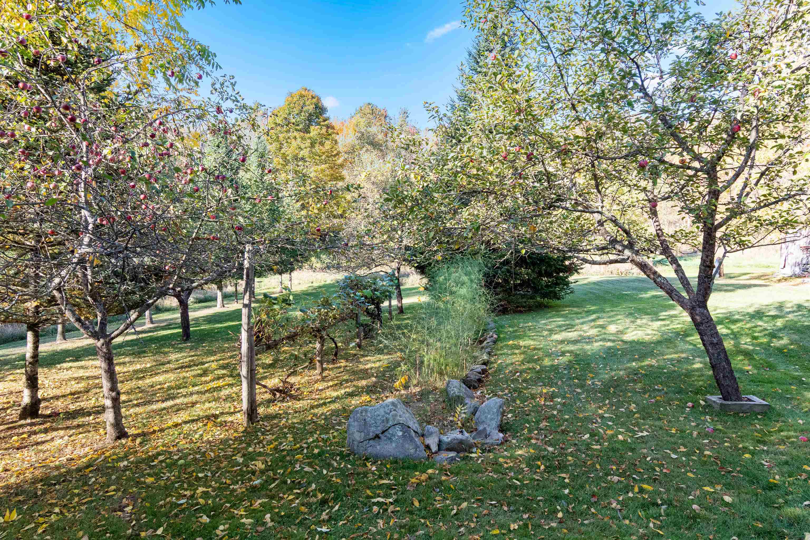 1632 Bradley Road Property Photo 46