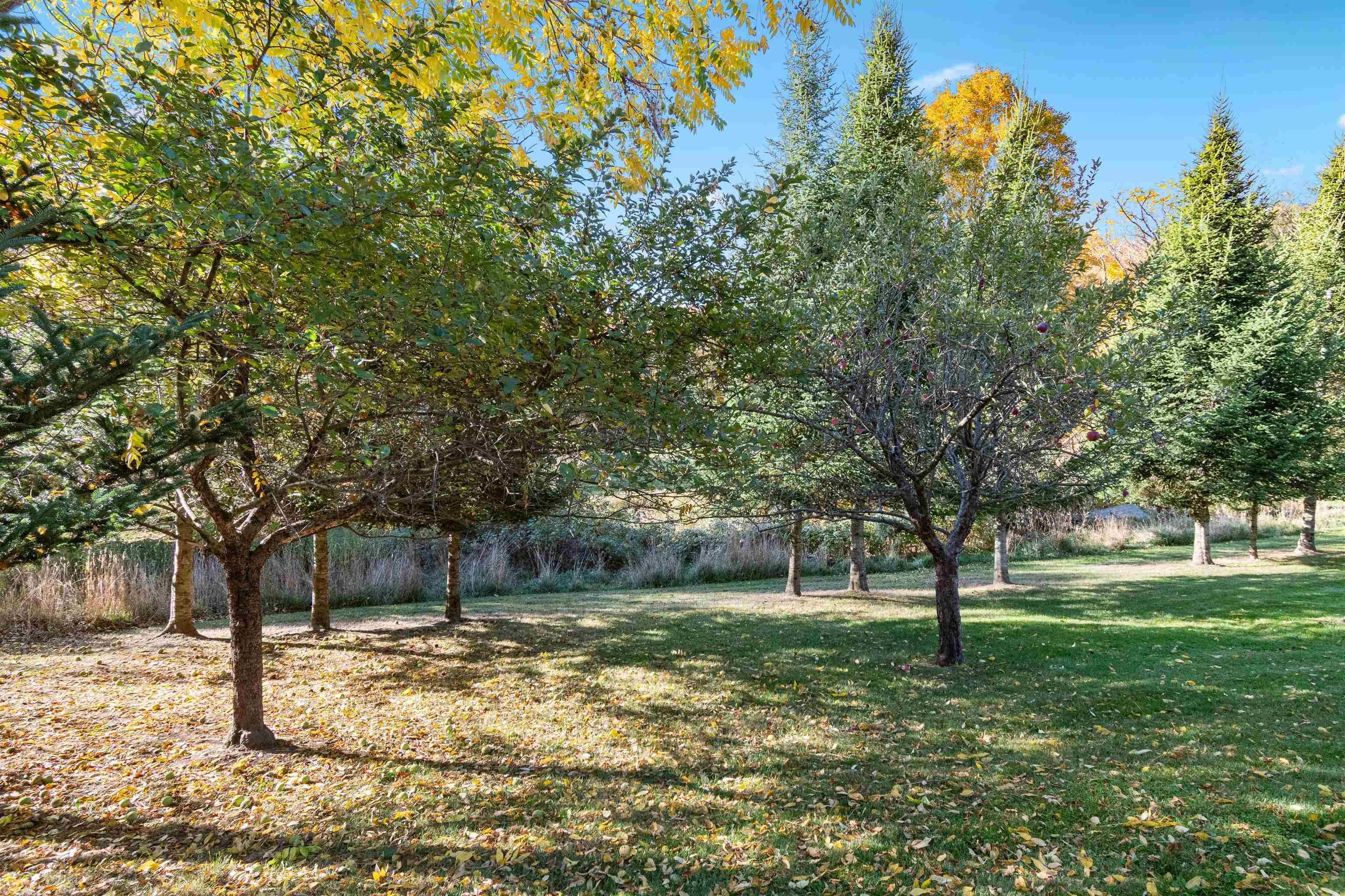 1632 Bradley Road Property Photo 48