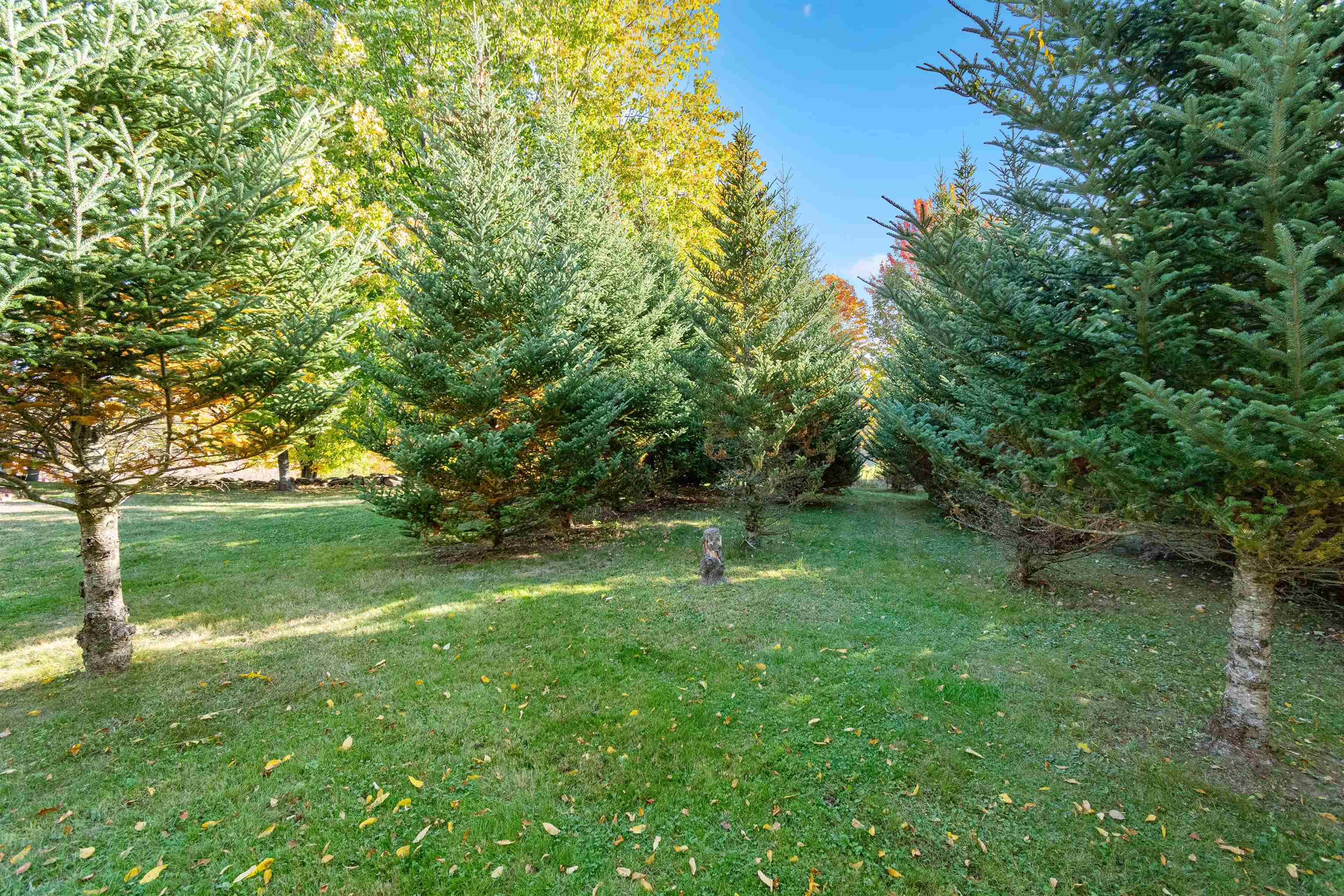 1632 Bradley Road Property Photo 49