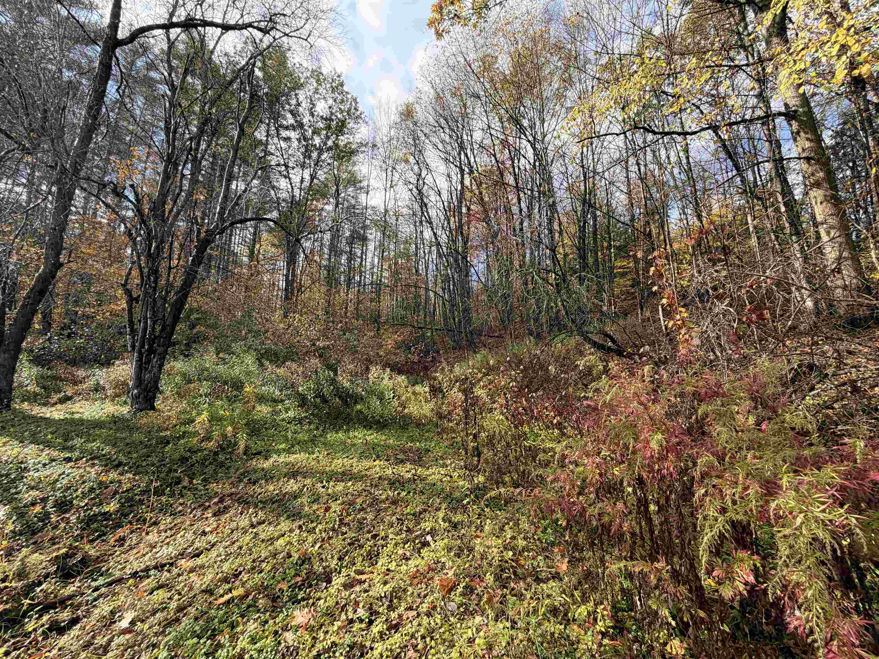 778 Route 100 B Property Photo 13