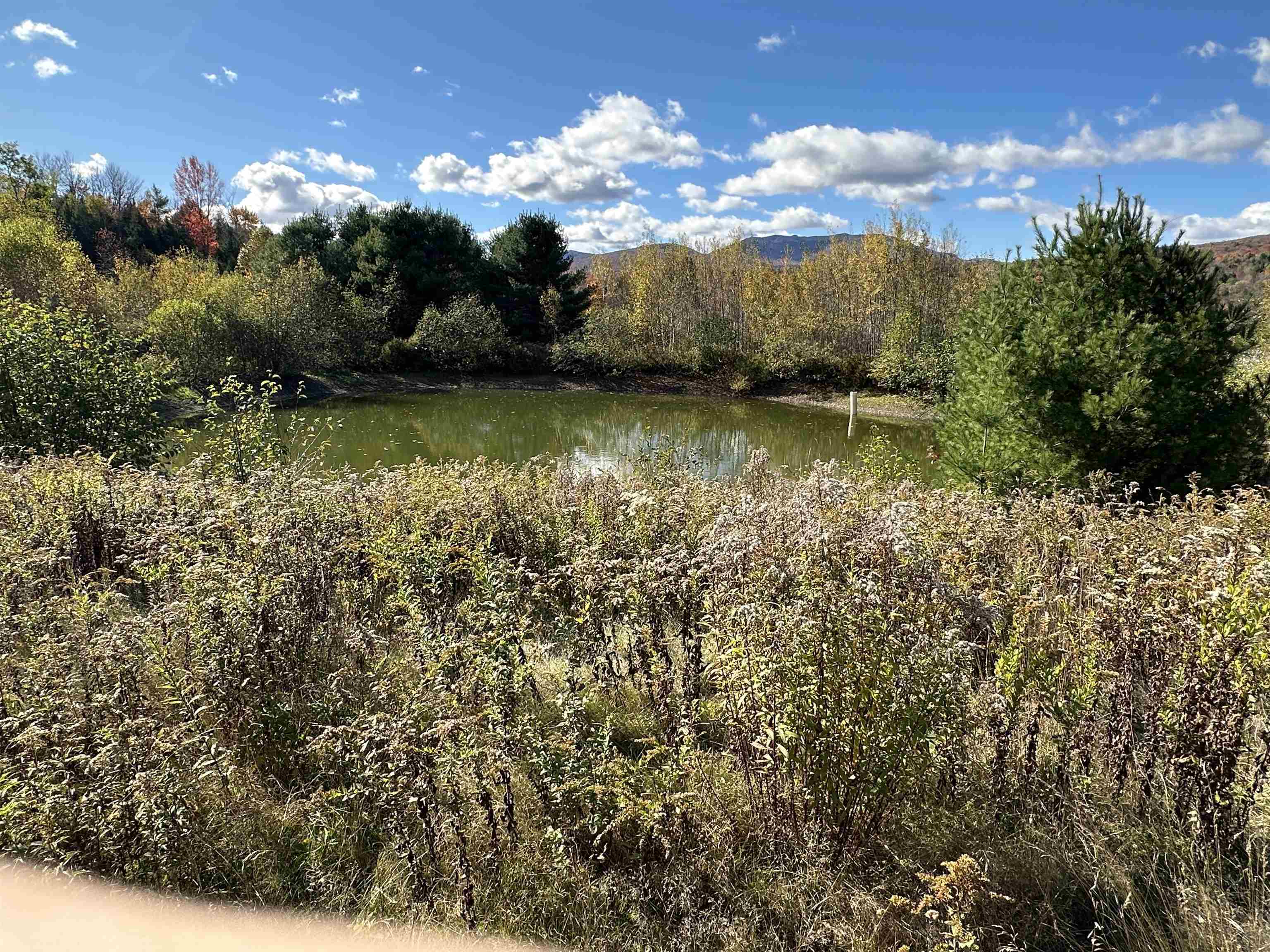 201 Pope Road Property Photo 18