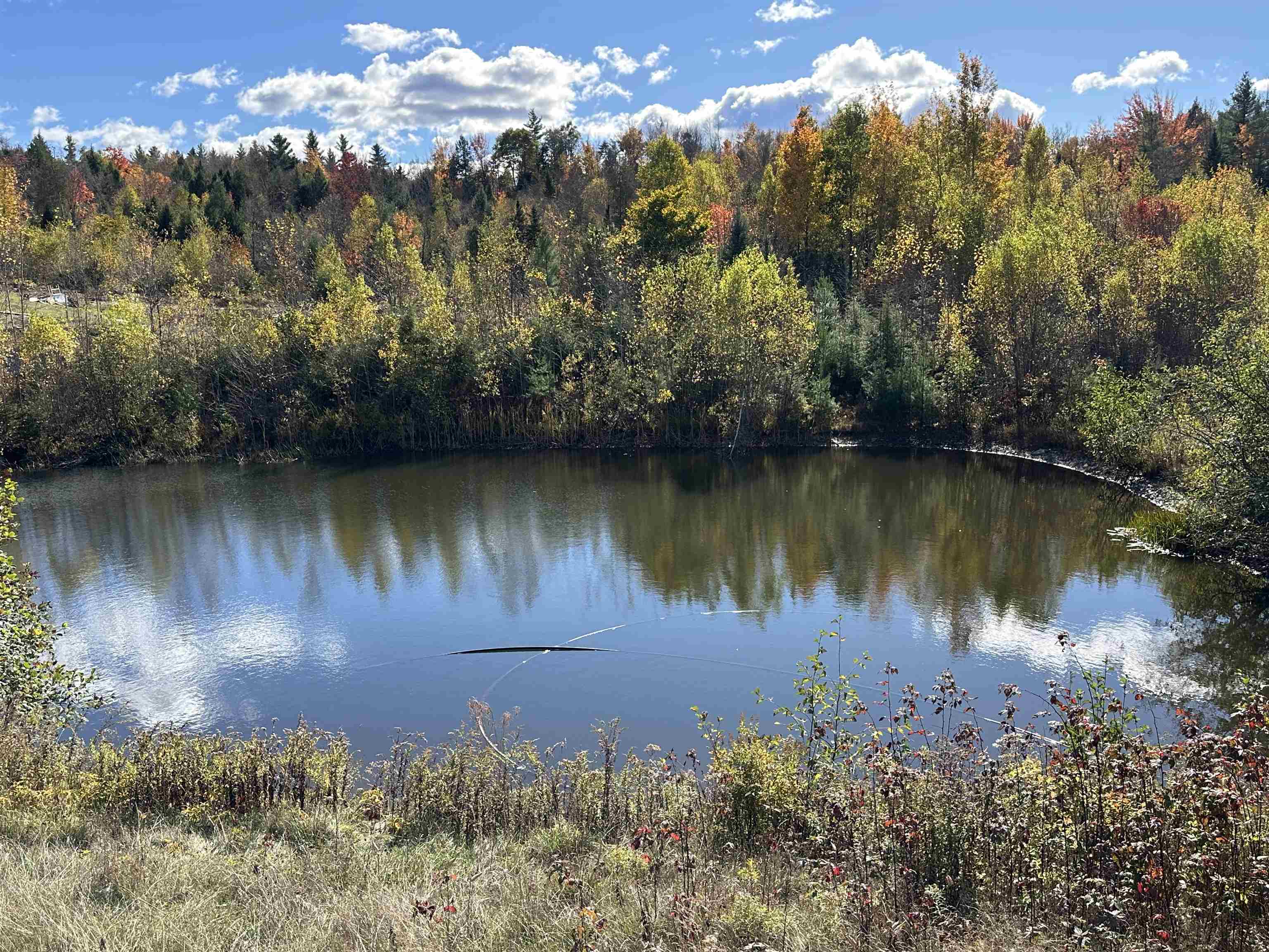 201 Pope Road Property Photo 20