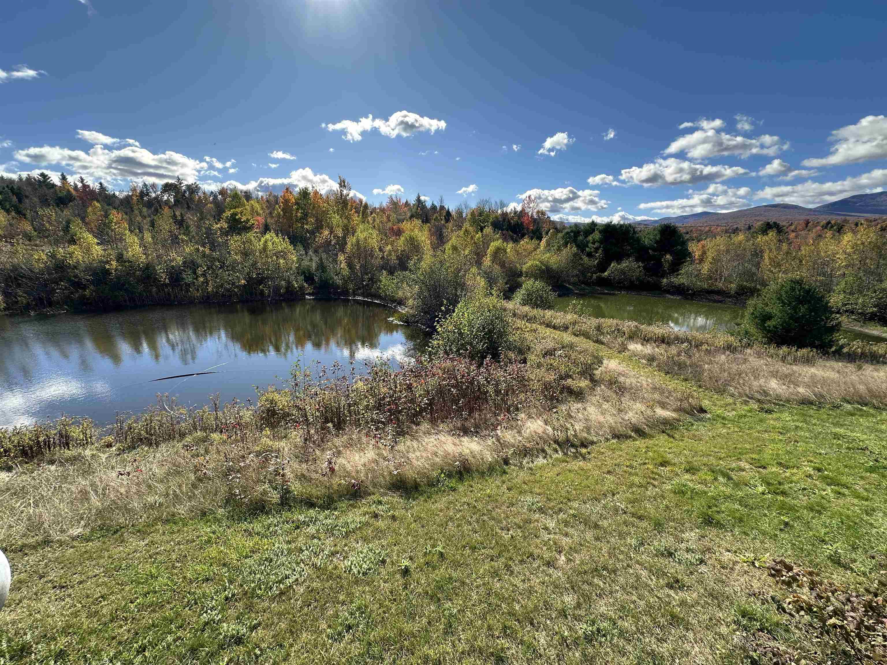 201 Pope Road Property Photo 21