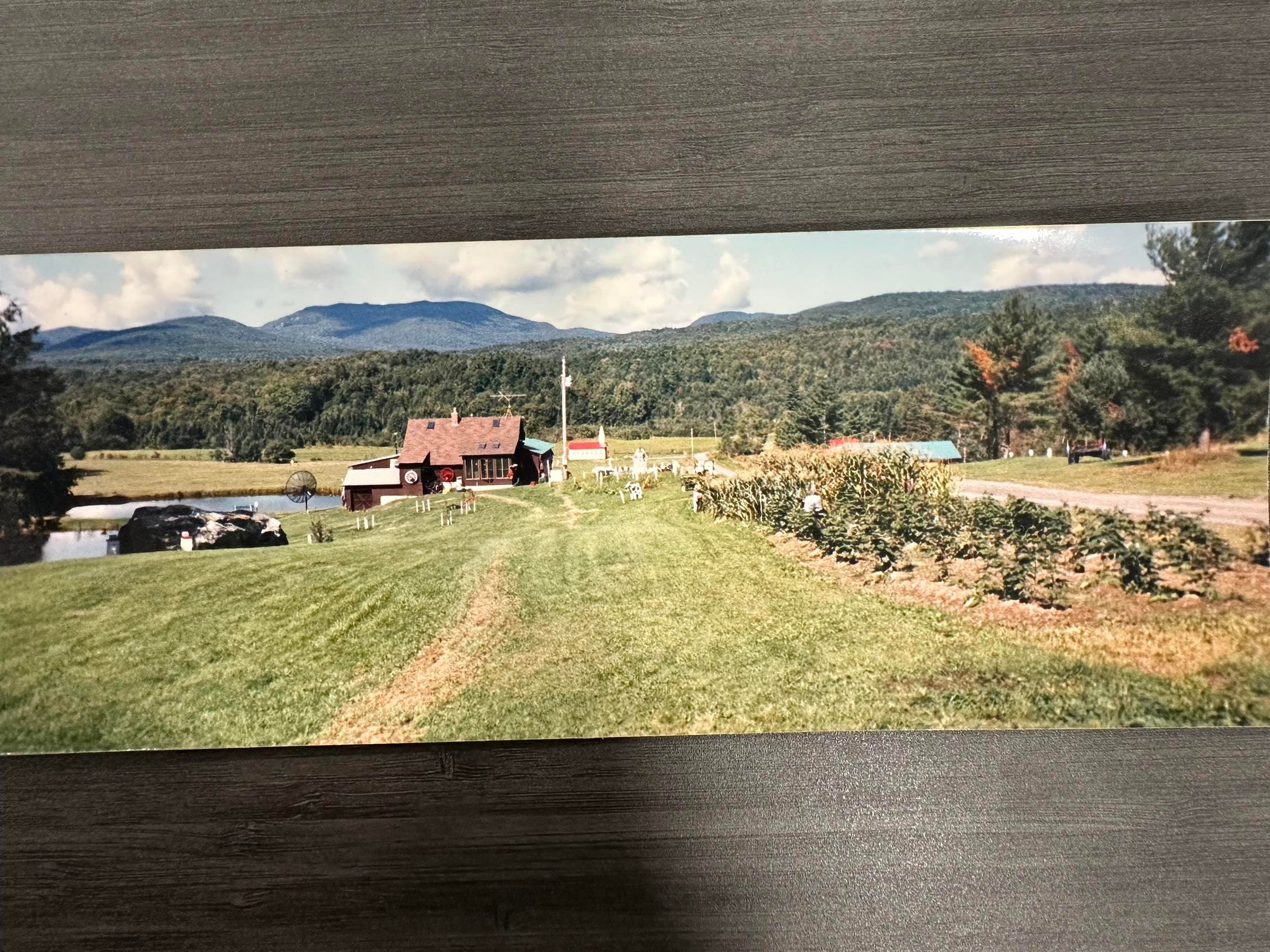 201 Pope Road Property Photo 54