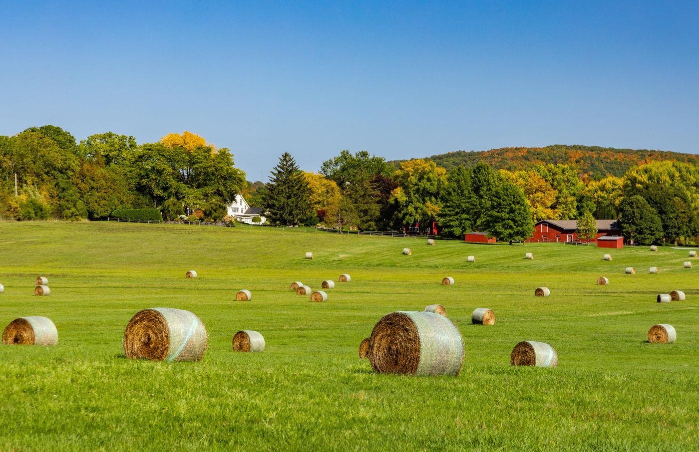 1028 Converse Bay Road Property Photo 7