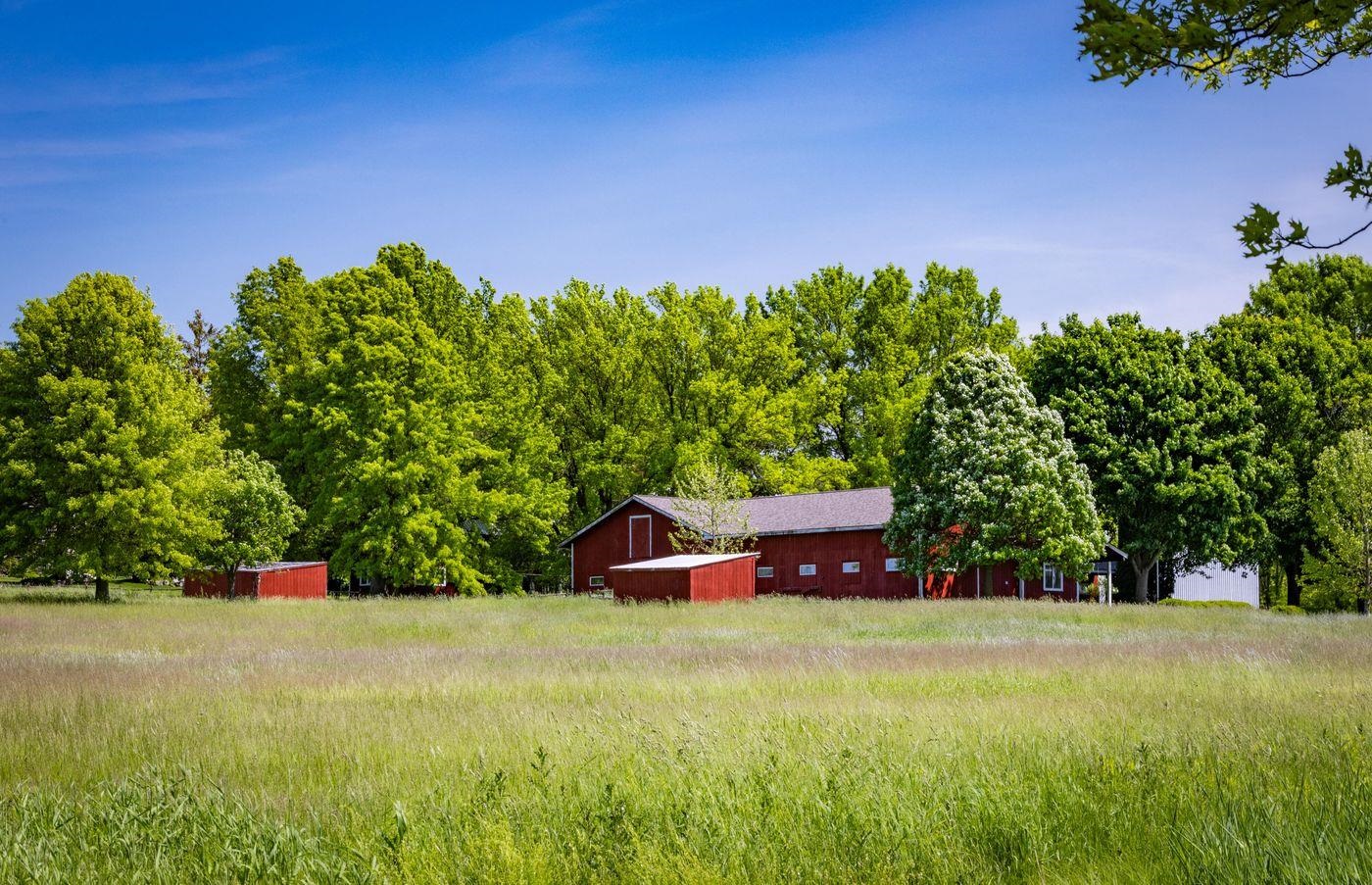 1028 Converse Bay Road Property Photo 28