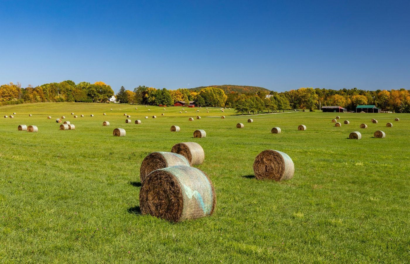 1028 Converse Bay Road Property Photo 32