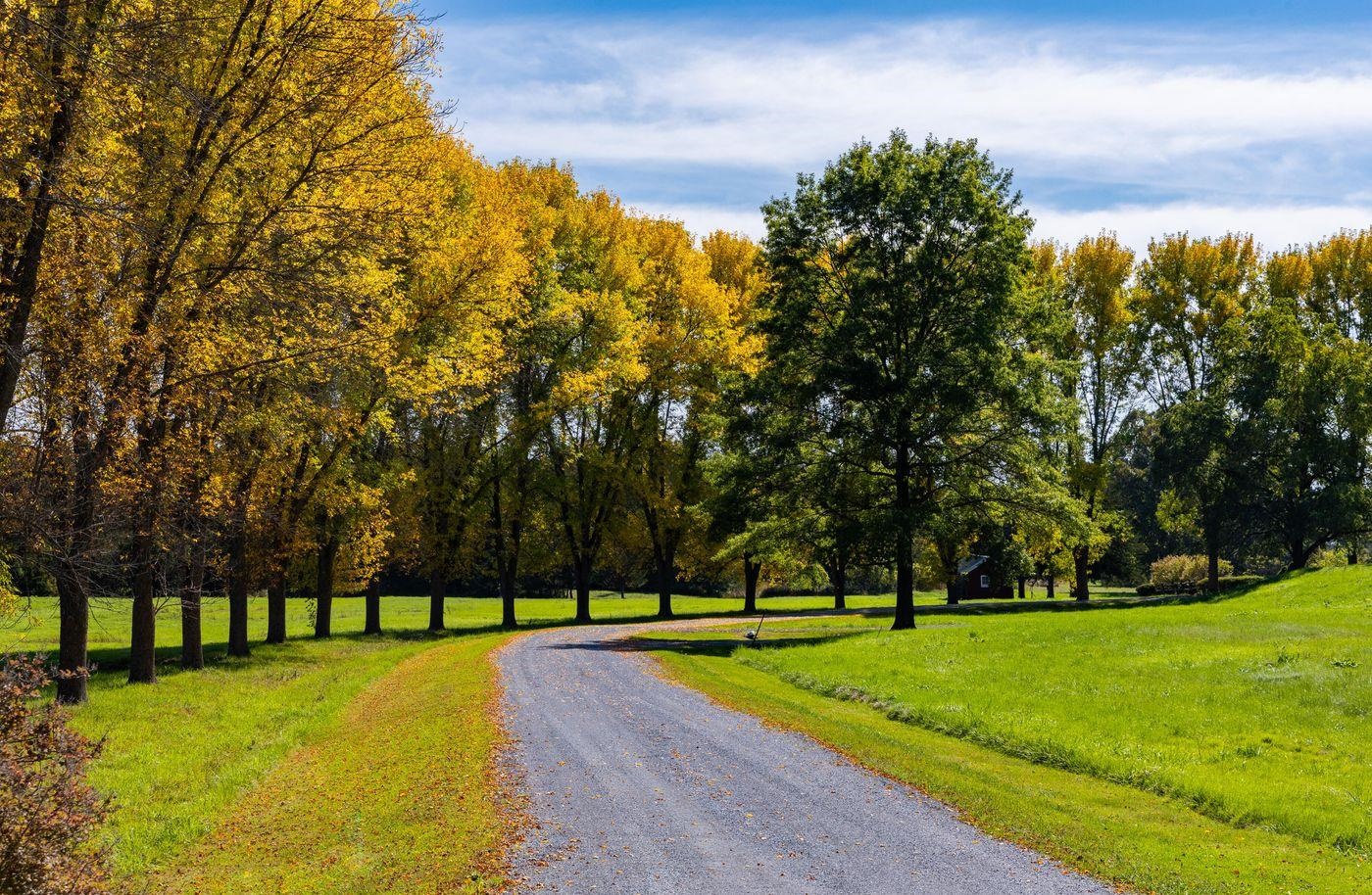 1028 Converse Bay Road Property Photo 34