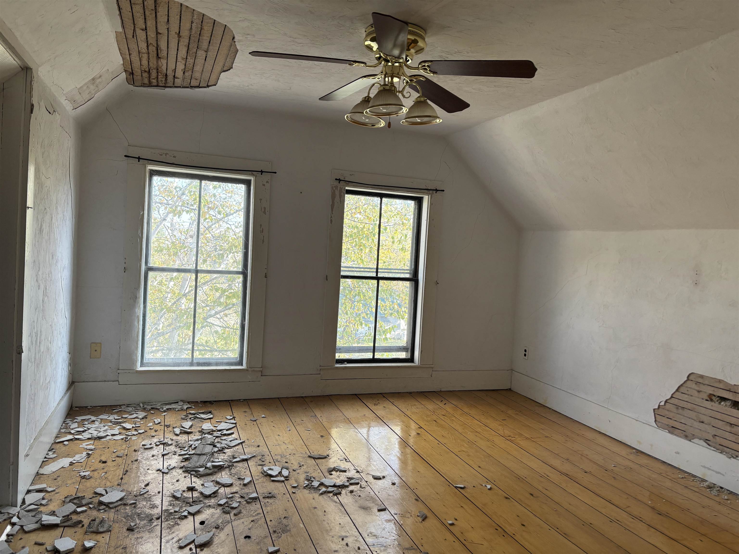 5 & 17 Berry Hill Property Photo 17