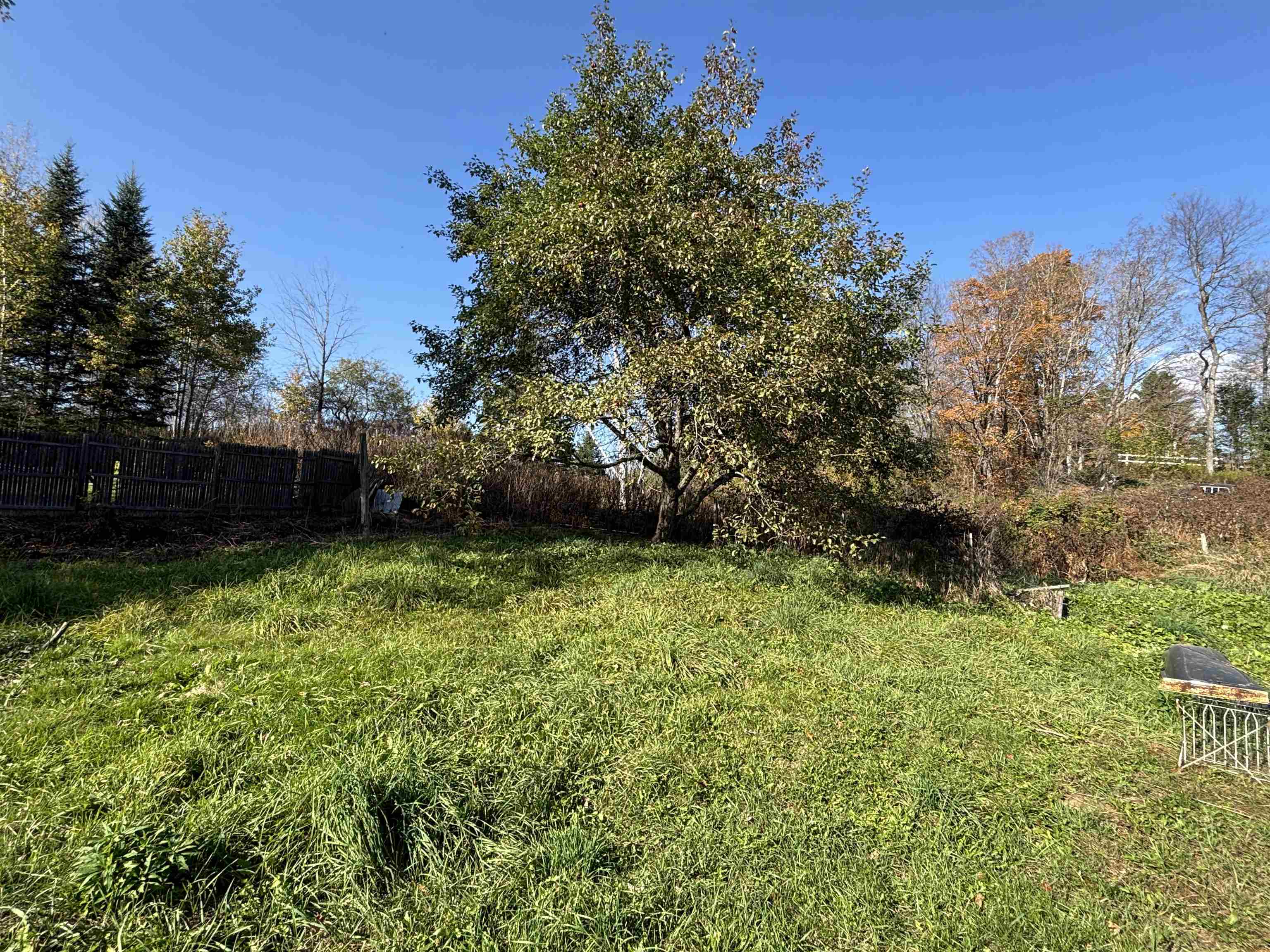 5 & 17 Berry Hill Property Photo 45