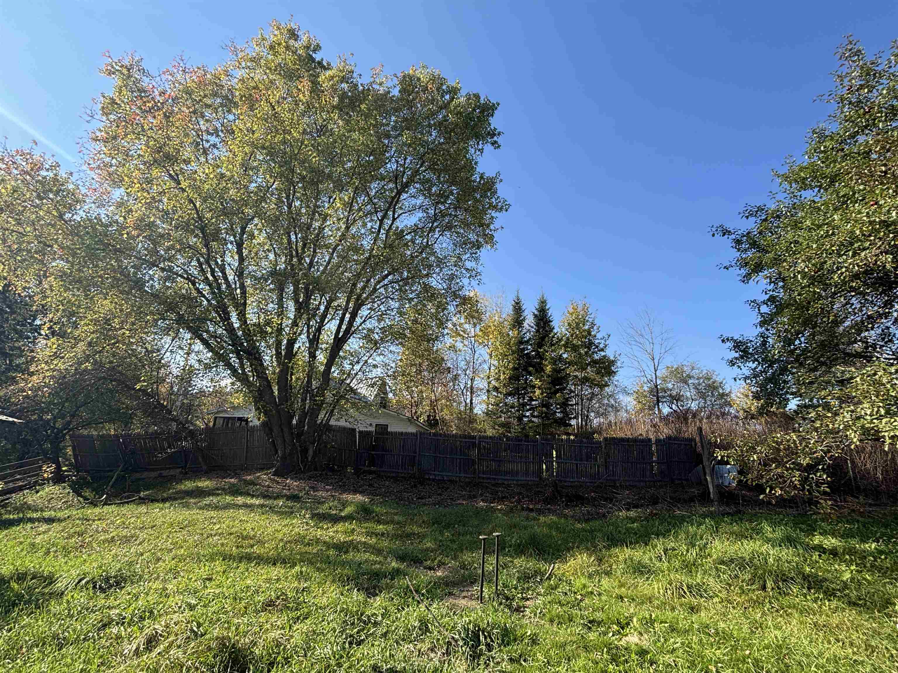 5 & 17 Berry Hill Property Photo 46