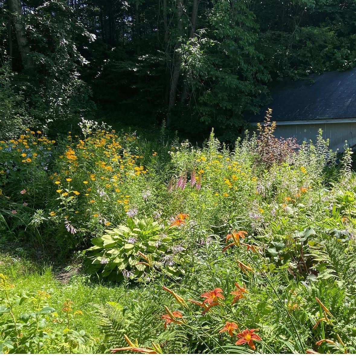 3 Pine Street Property Photo 4