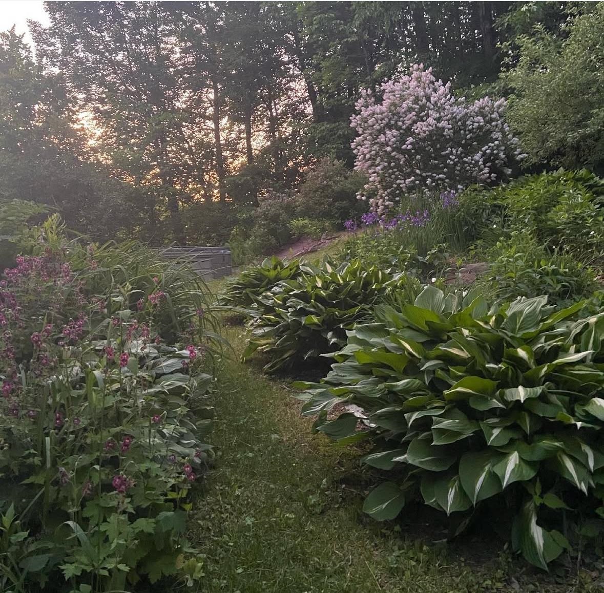 3 Pine Street Property Photo 5