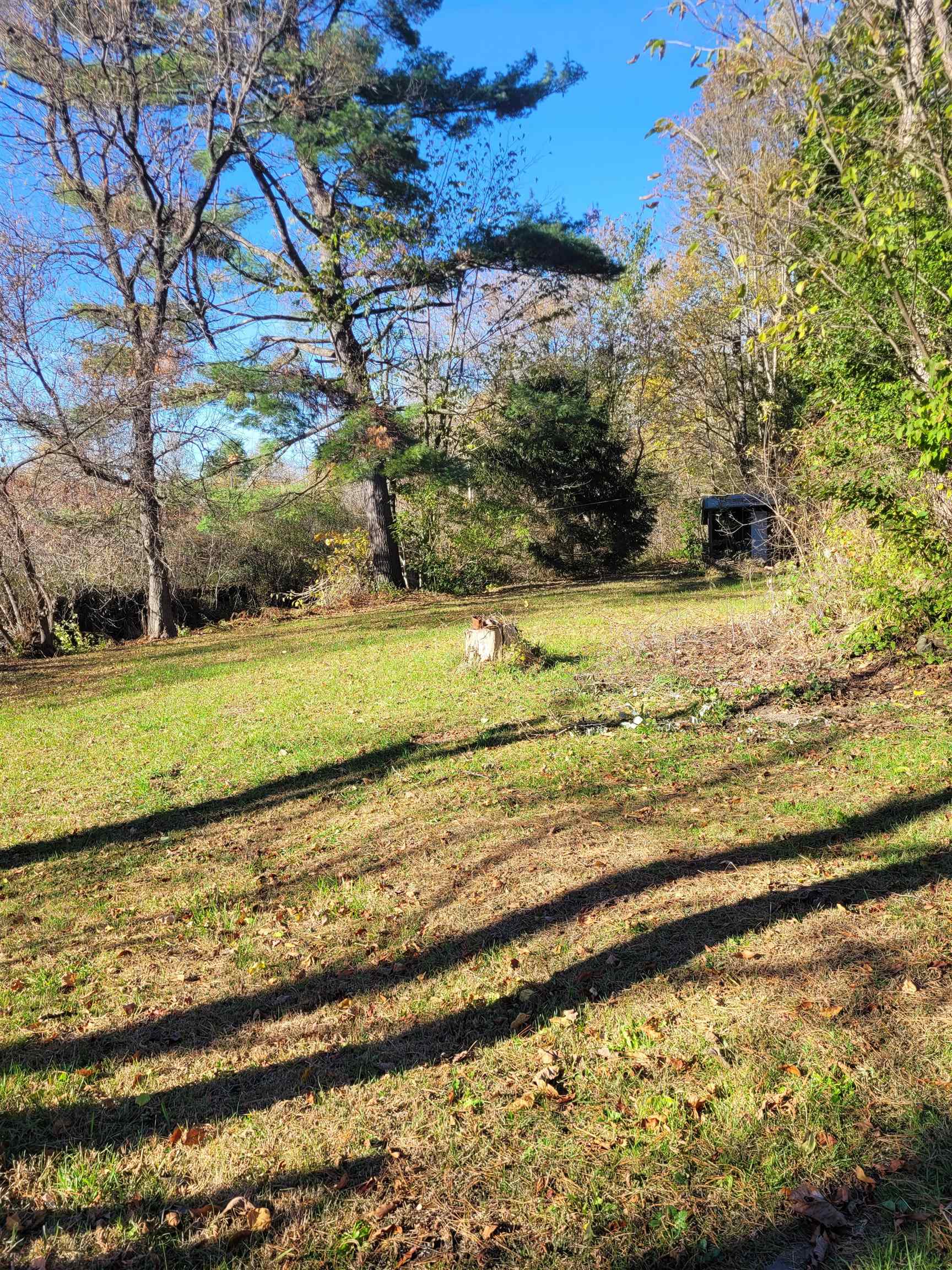 3 Pine Street Property Photo 6