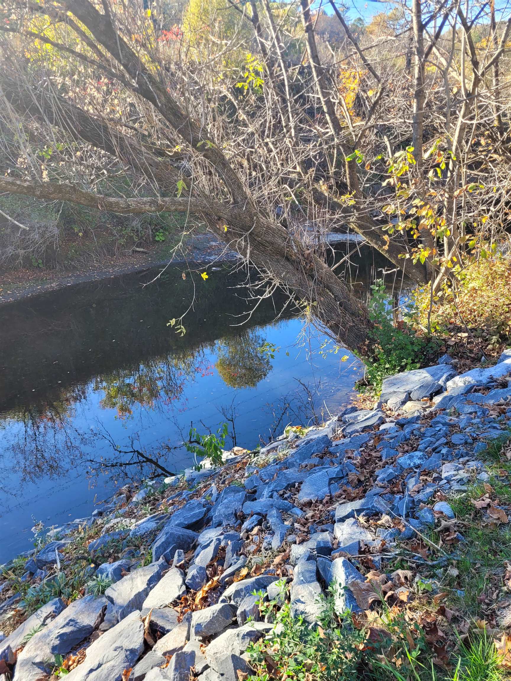 3 Pine Street Property Photo 7