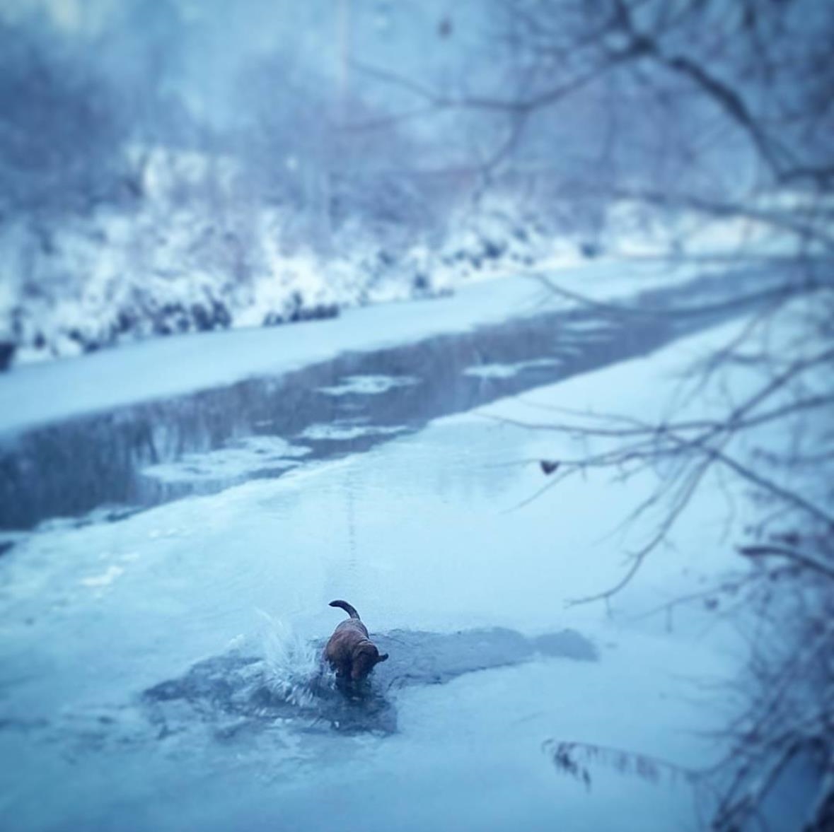 3 Pine Street Property Photo 8