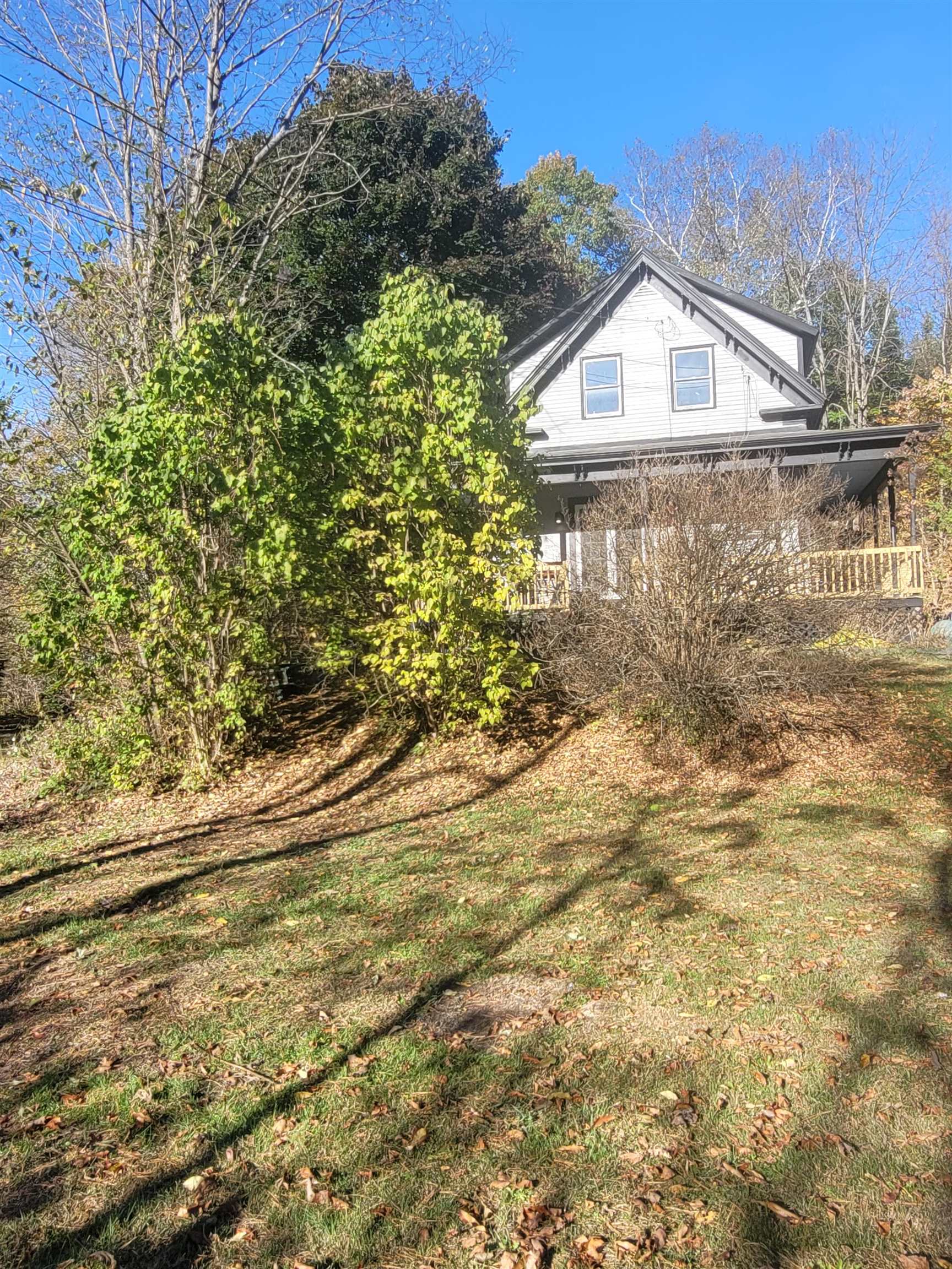 3 Pine Street Property Photo 30