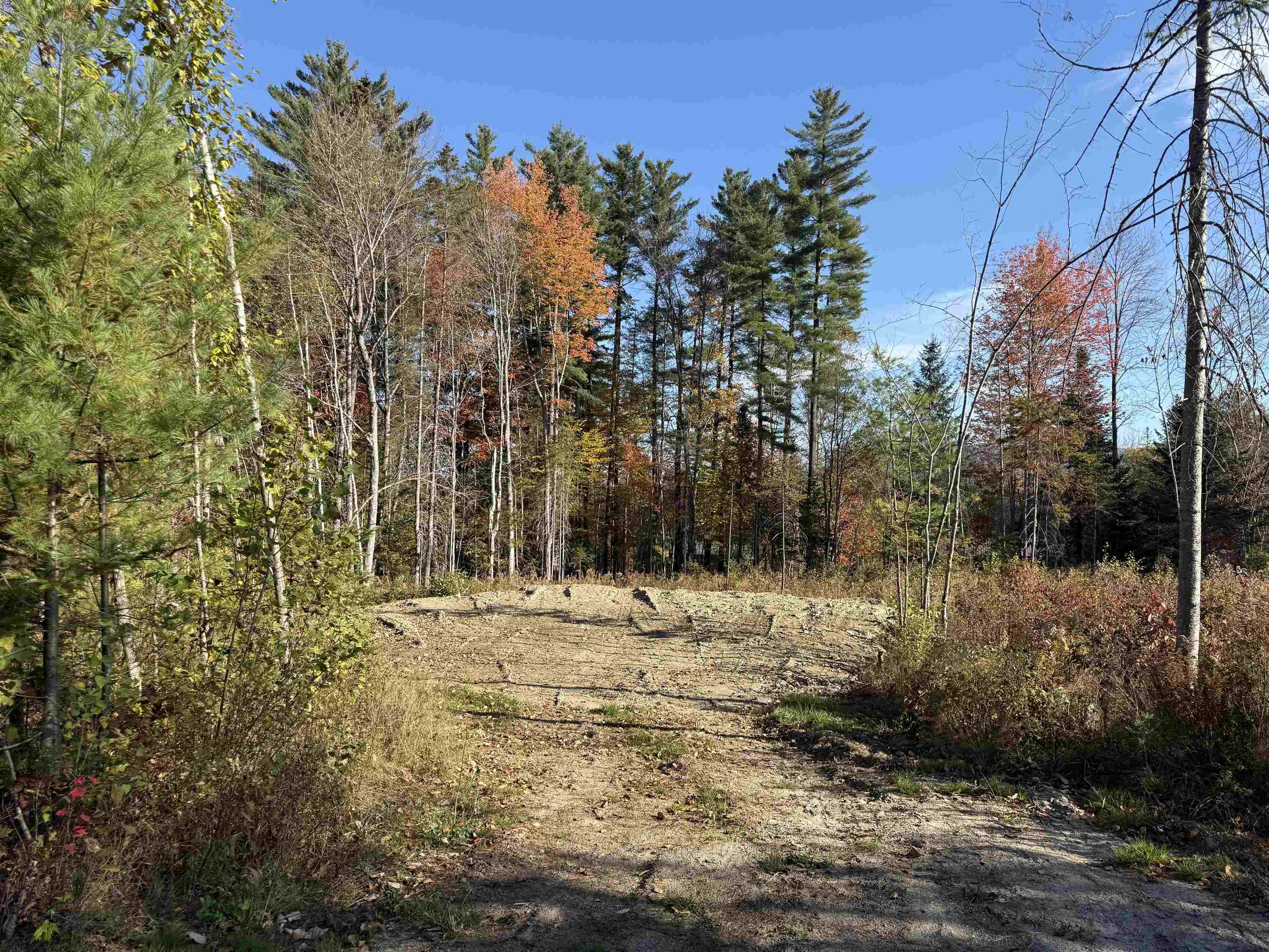 Lot 9 Hartco Avenue Property Photo 4