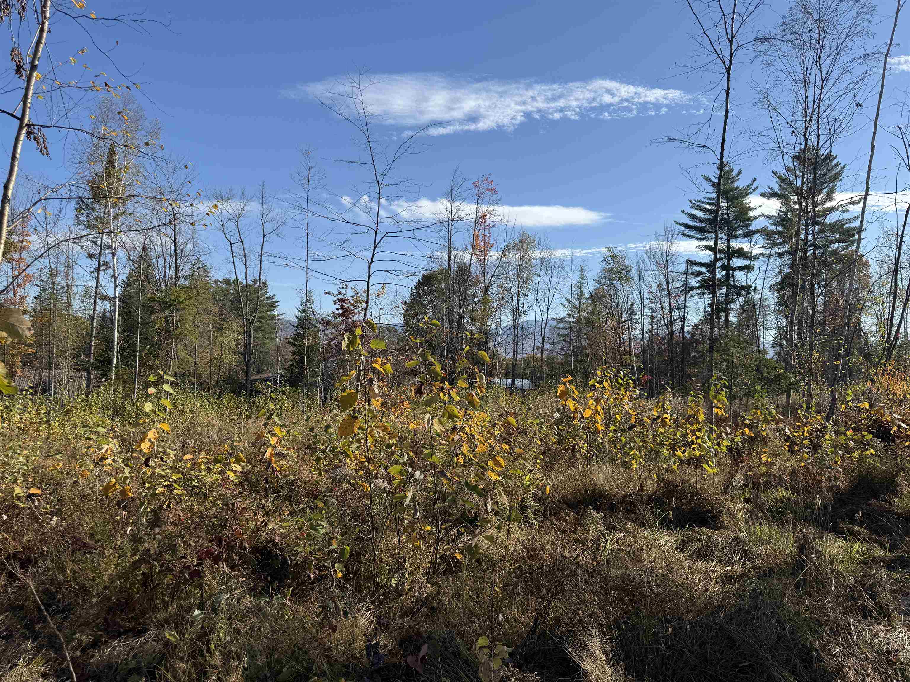 Lot 13 Hartco Avenue Property Photo 4
