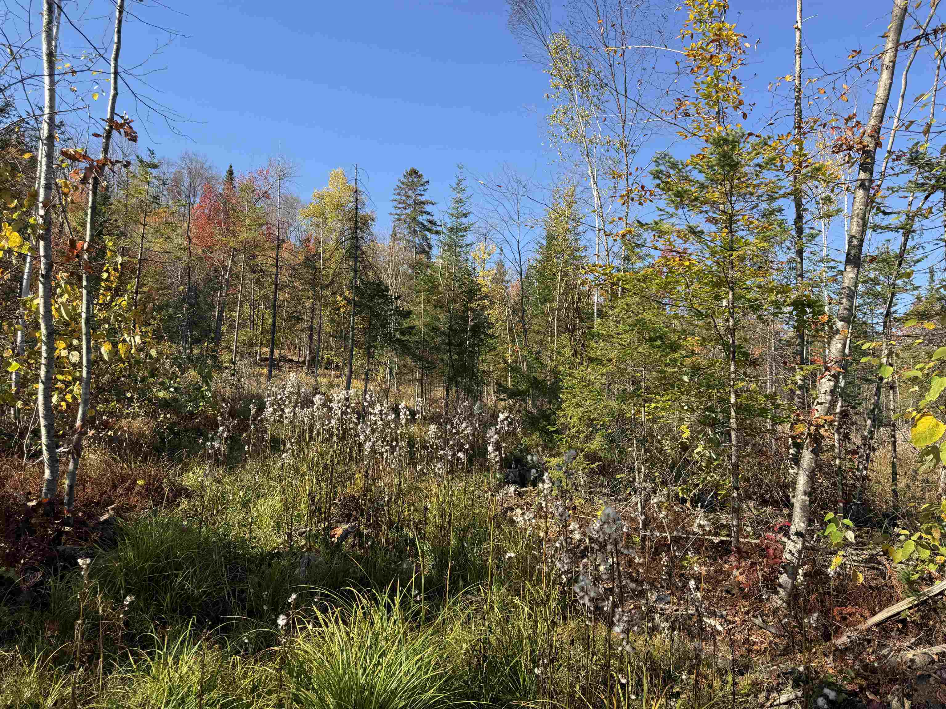 Lot 26 Hartco Avenue Property Photo 2