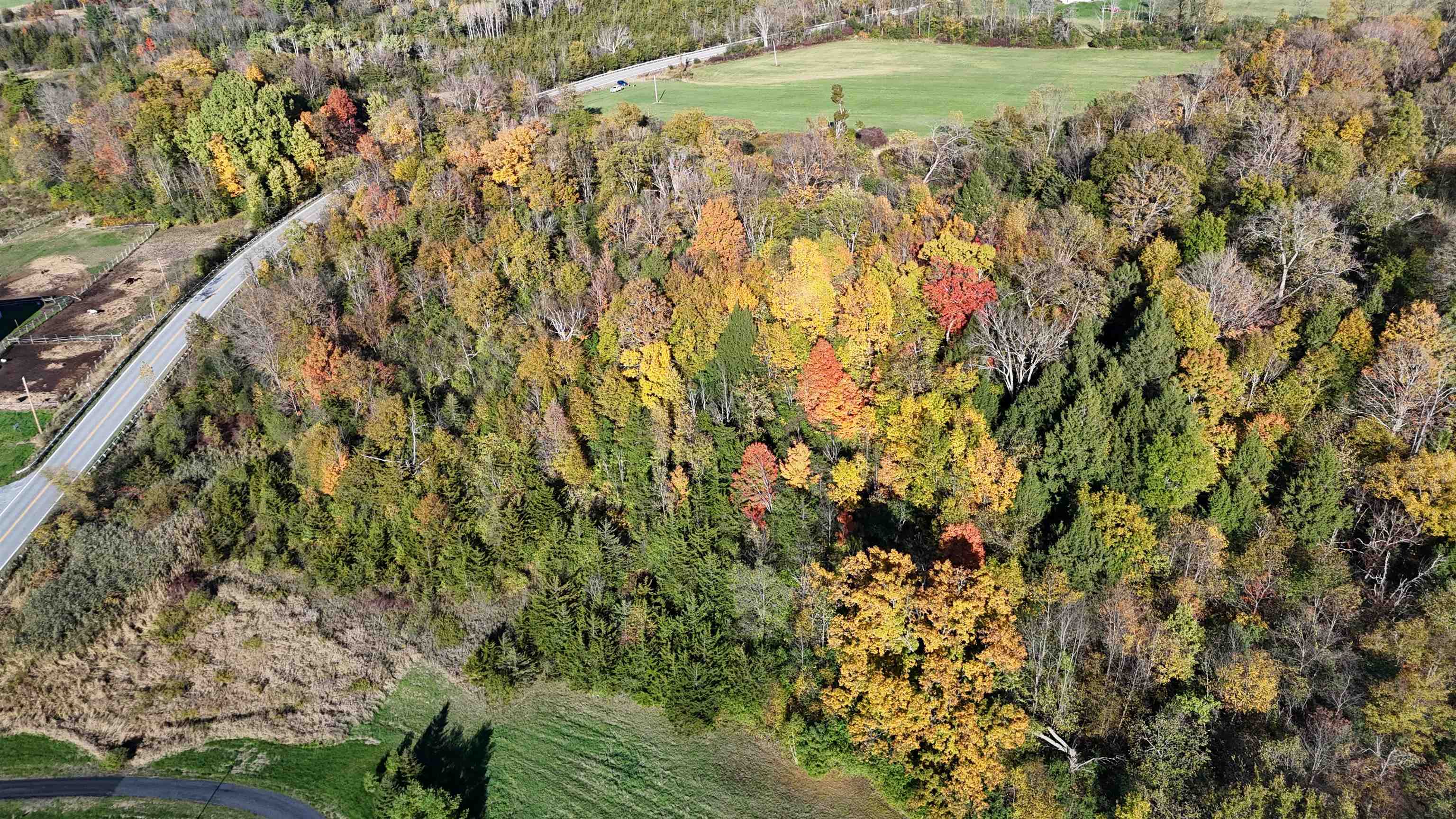 Tbd Route 74 Property Photo 13