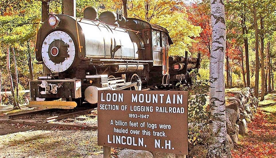 90 Loon Mountain Road Property Photo 1
