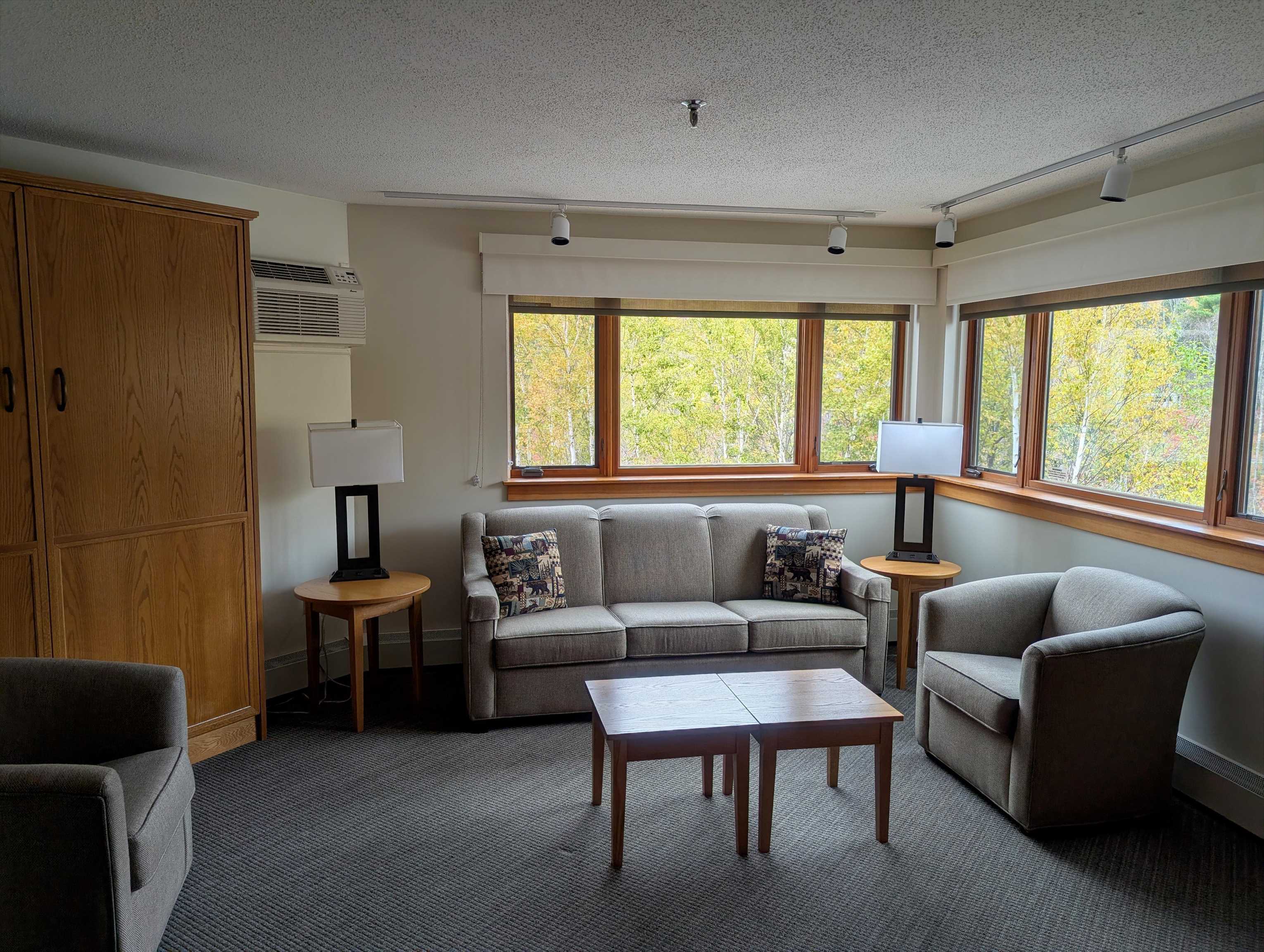 90 Loon Mountain Road Property Photo 5