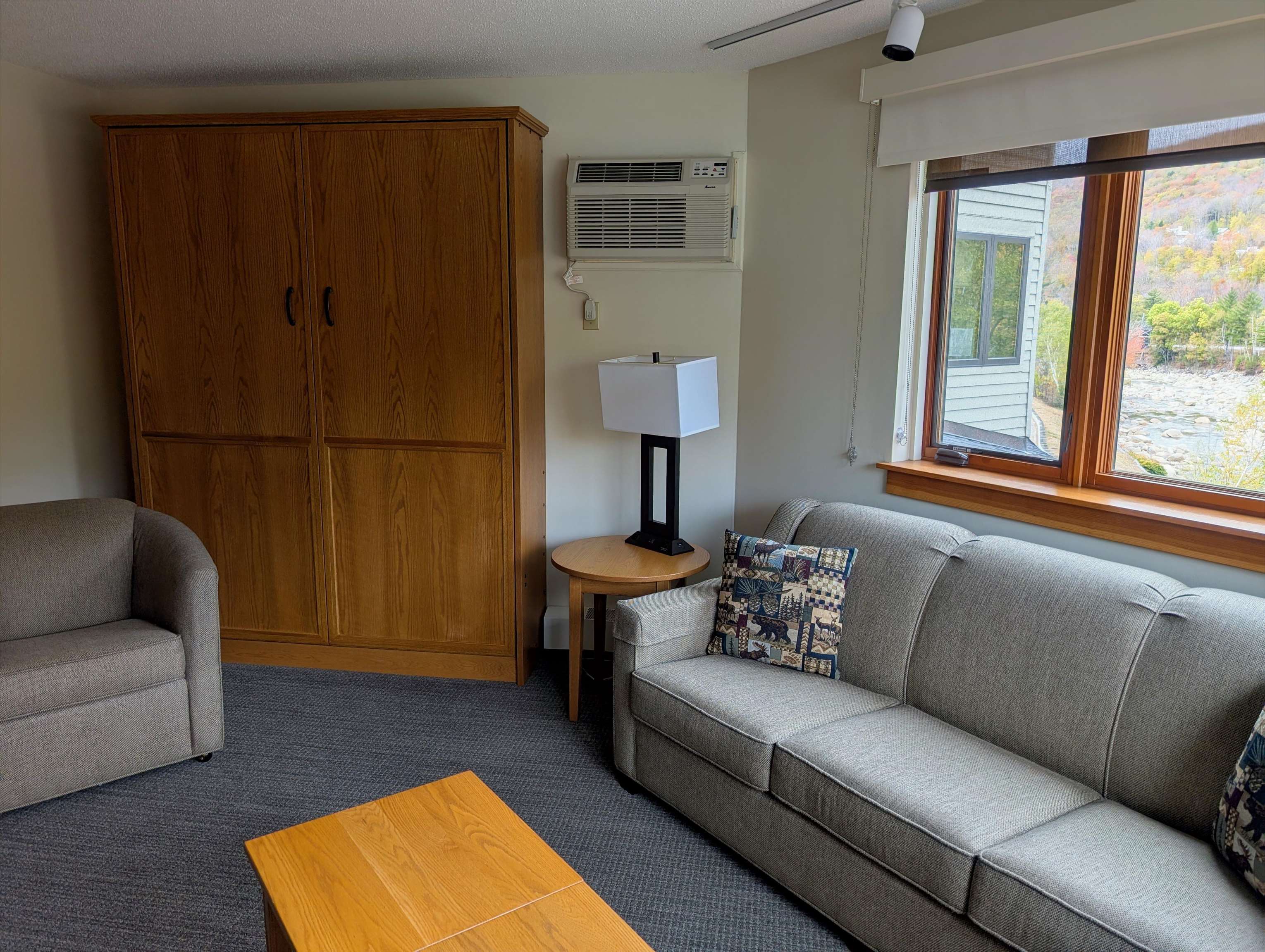 90 Loon Mountain Road Property Photo 6