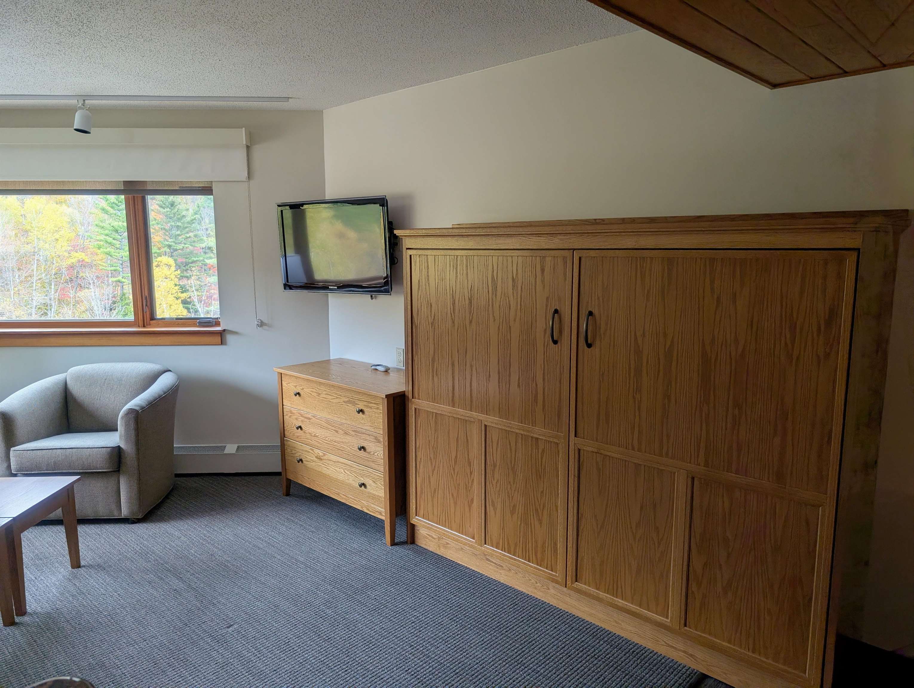 90 Loon Mountain Road Property Photo 8