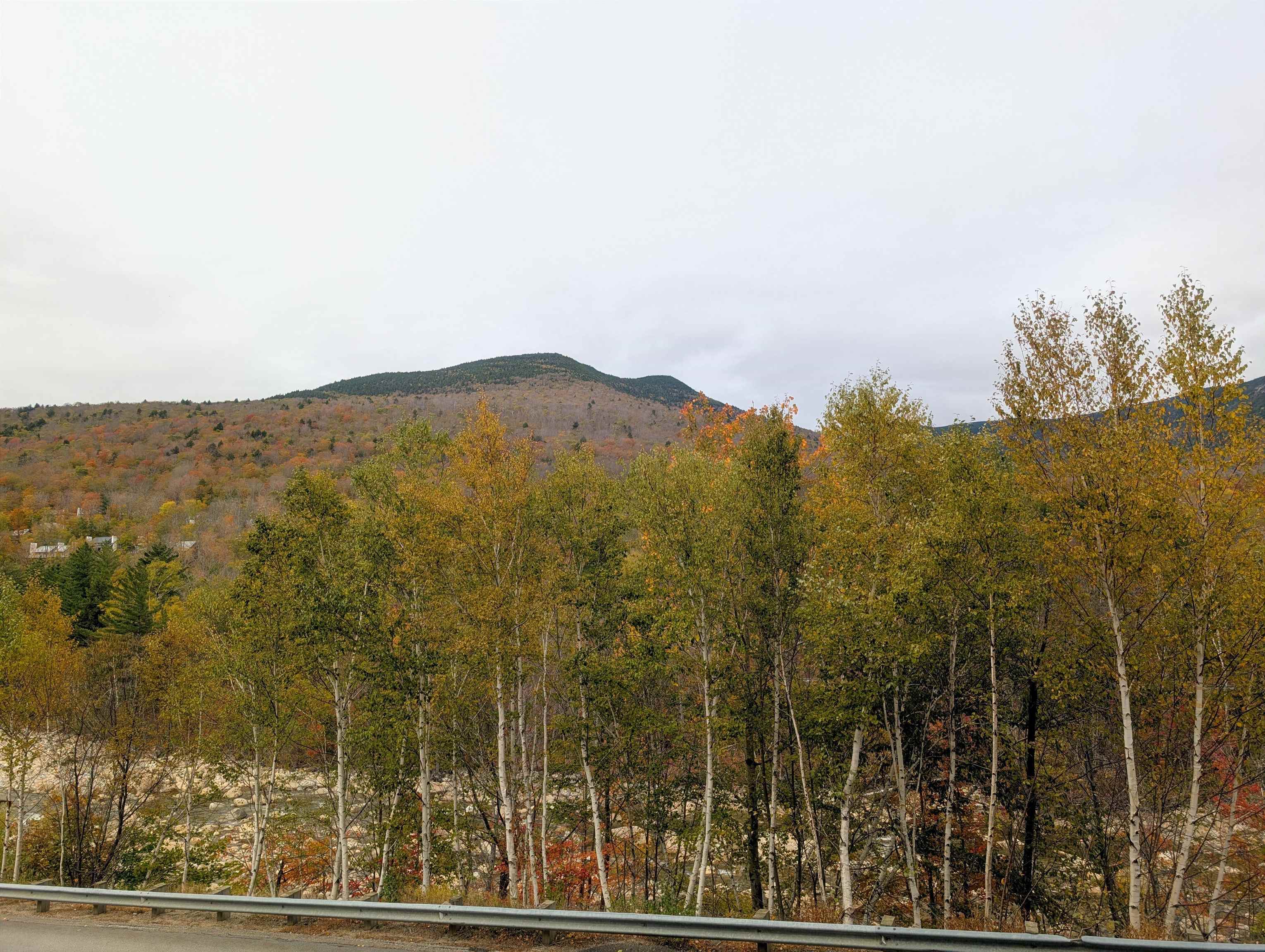 90 Loon Mountain Road Property Photo 15