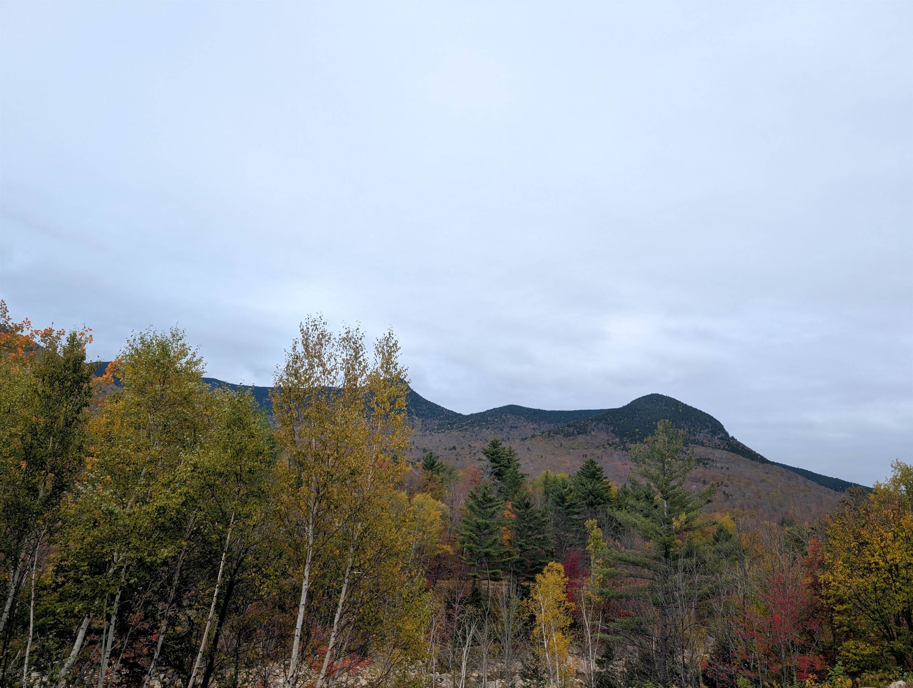 90 Loon Mountain Road Property Photo 16