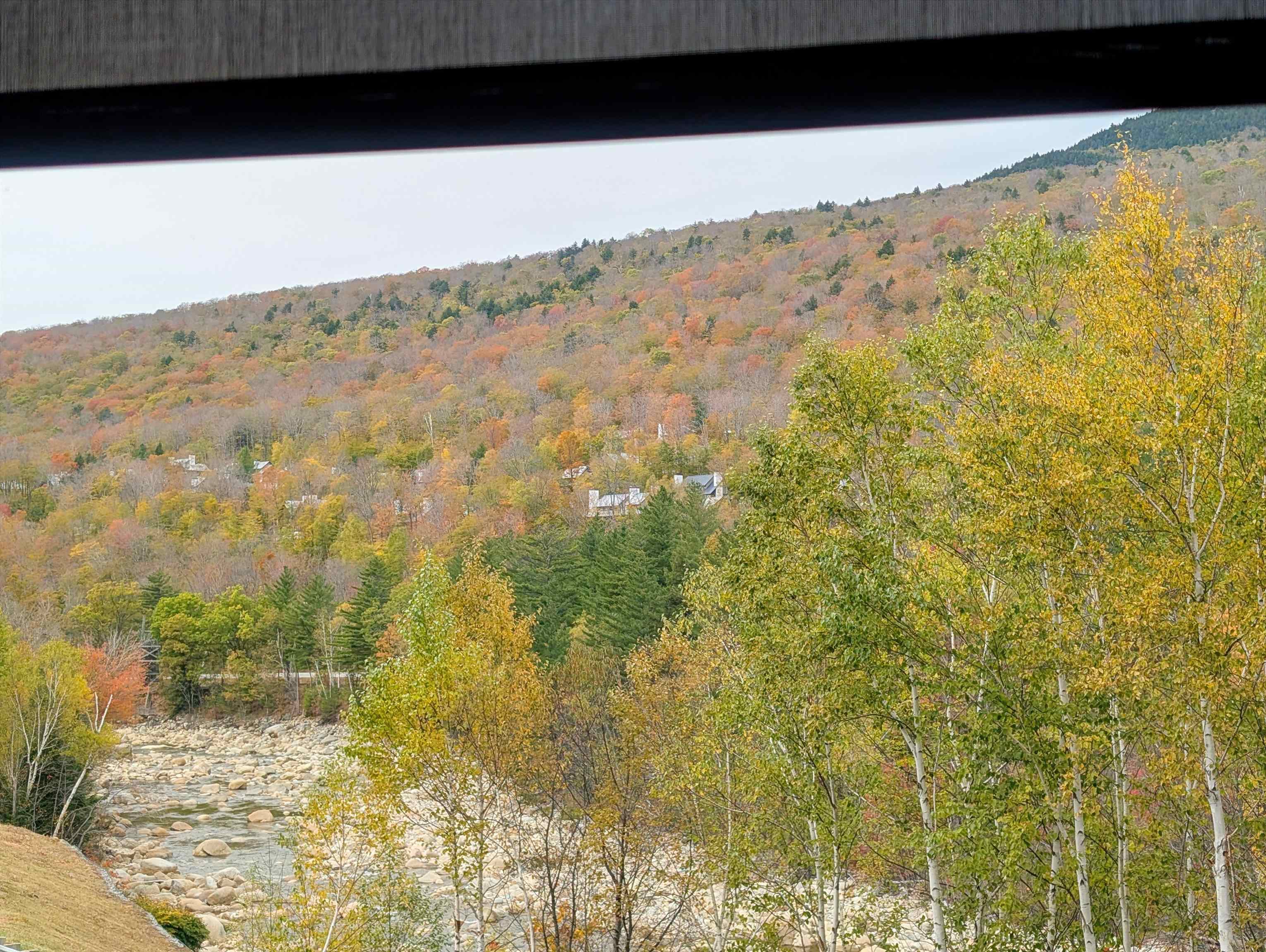 90 Loon Mountain Road Property Photo 17